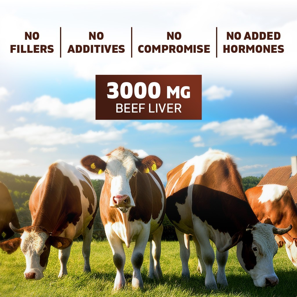 Vitamatic Grass Fed Beef Brain with Liver – 180 Capsules
