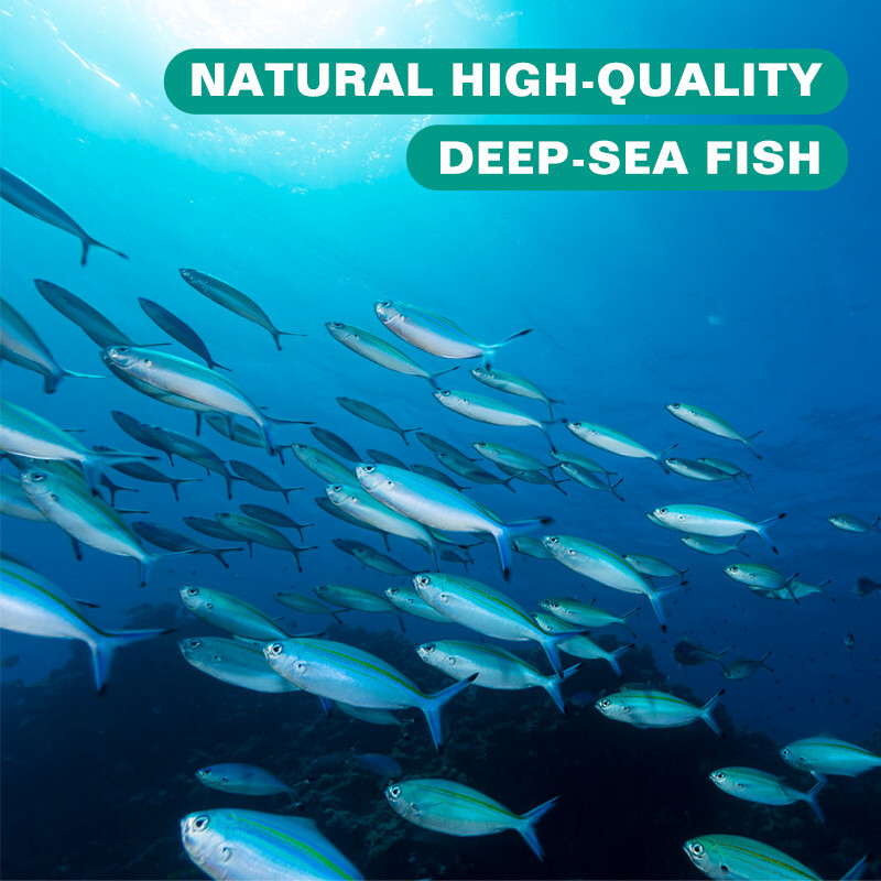 1-4 Packs Capsules Omega 3 Fish Oil 3600mg 3x Strength EPA+DHA, Highest Potency