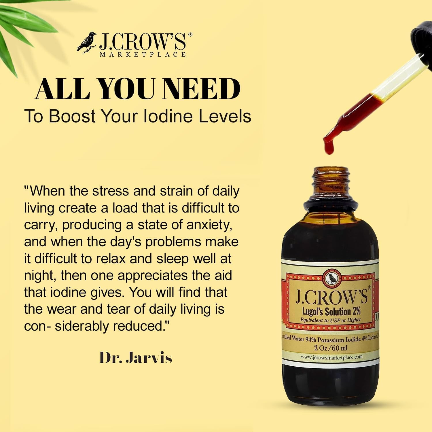 (6-Pack) J.CROW’S Lugol’s Solution Iodine 2 Percent, High Potency Drops for
