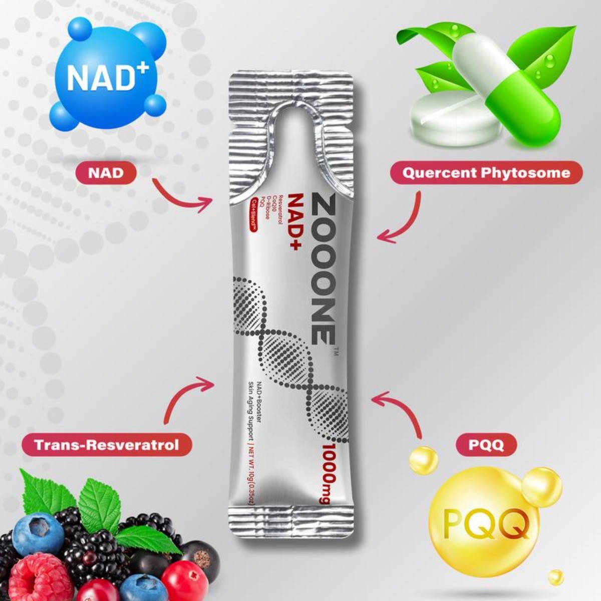ZOOONE NR1000 NAD+ Berry Drink Mix for Skin Aging Support, Energy & Focus-