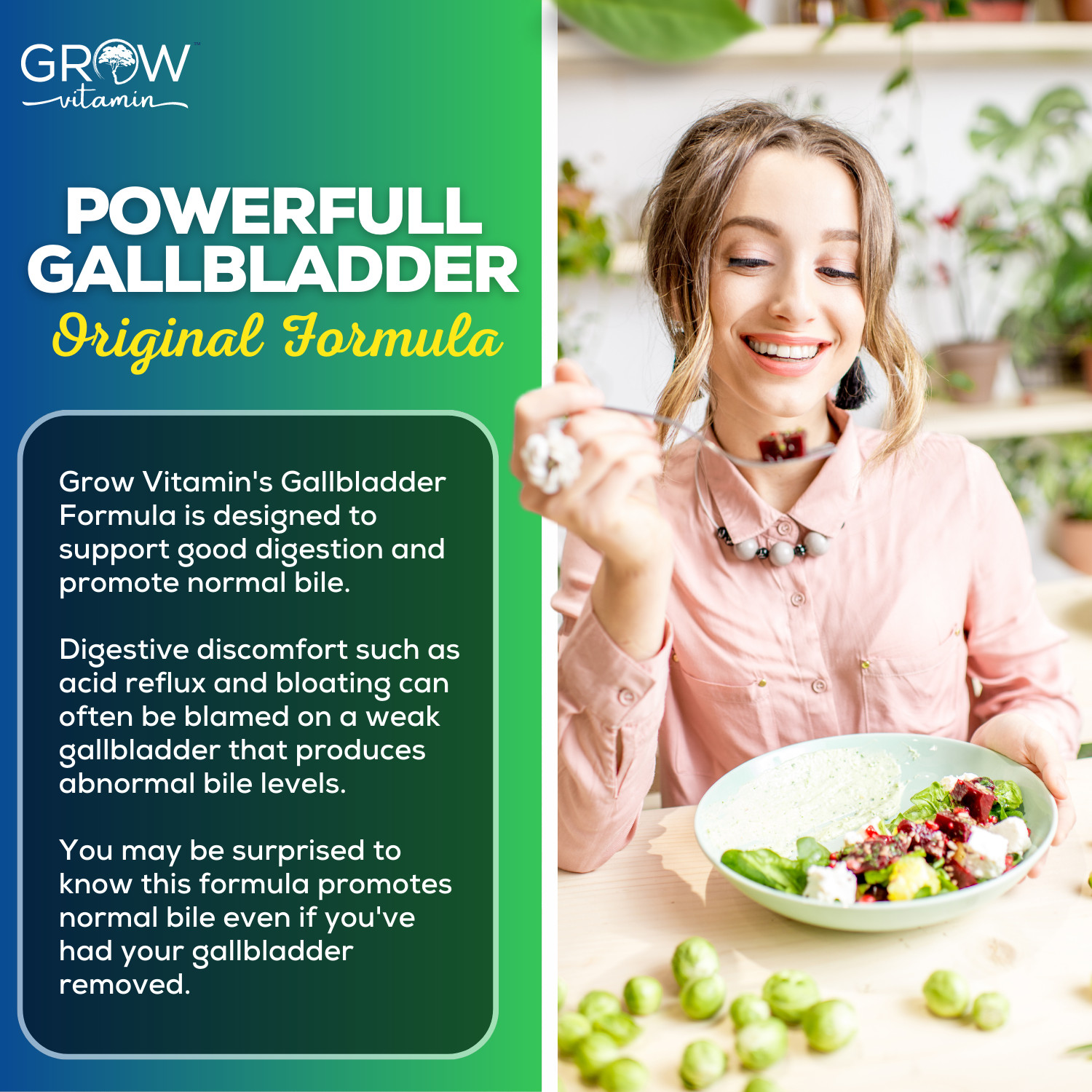 Gallbladder Formula EXTRA STRENGTH Enzymes For Digestion Super Effective 90 Caps