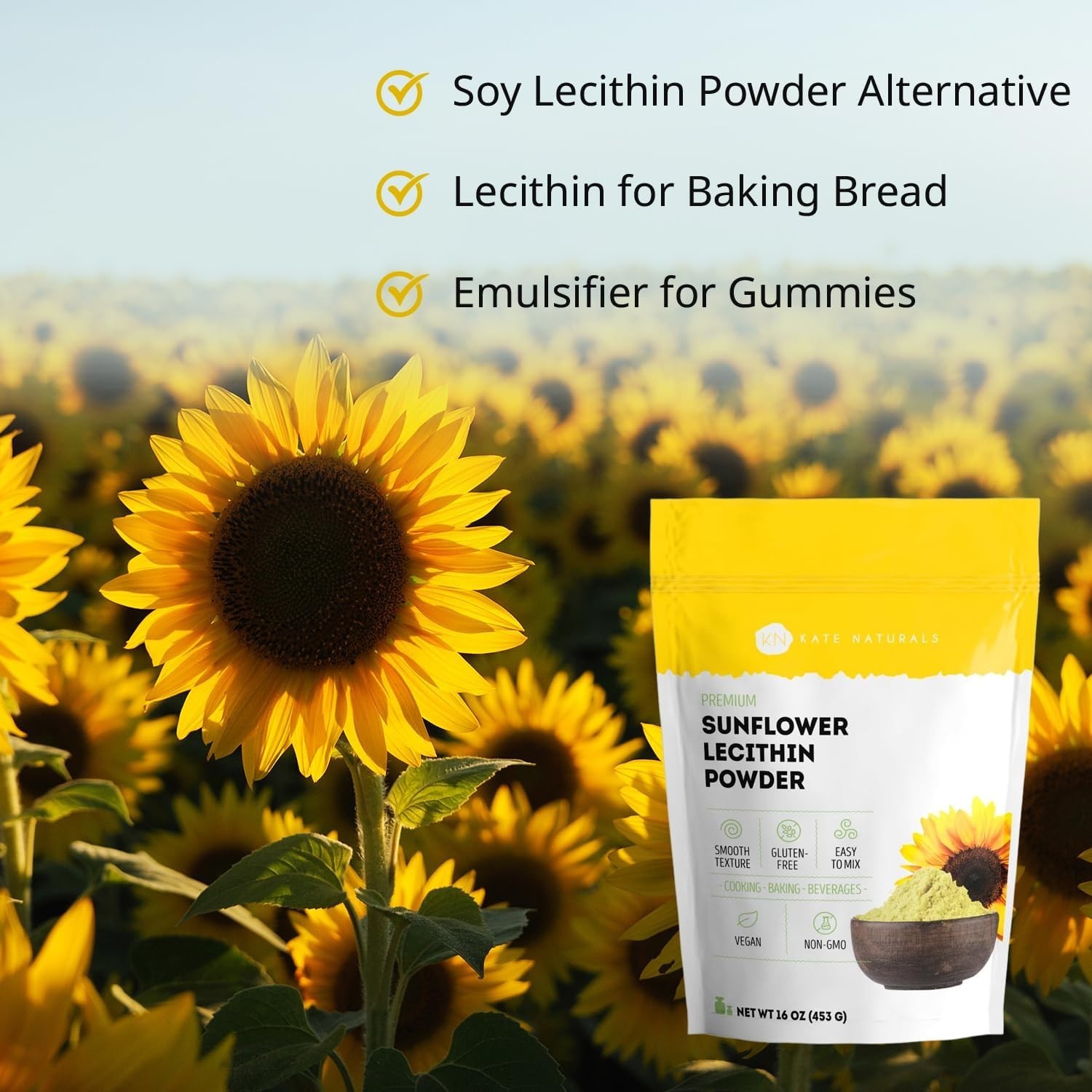 Smooth Texture Sunflower Lecithin Powder – Unflavored