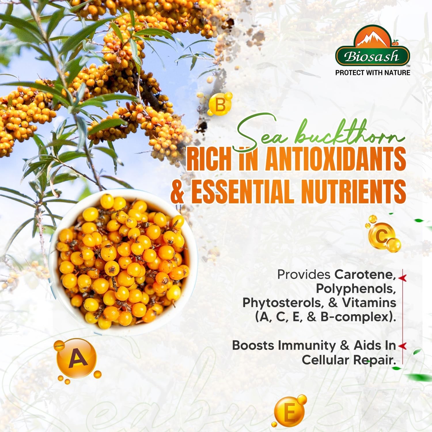 Biosash Himalayan Sea Buckthorn Pulp Concentrate 250ml free shipping