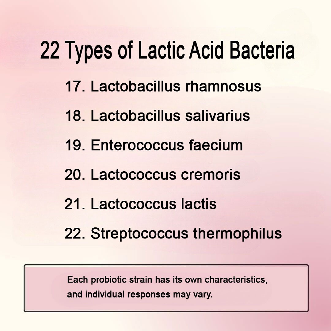 STC-22 Dietary Supplement with 22 Lactic Acid Bacteria 60 Units Made in Japan