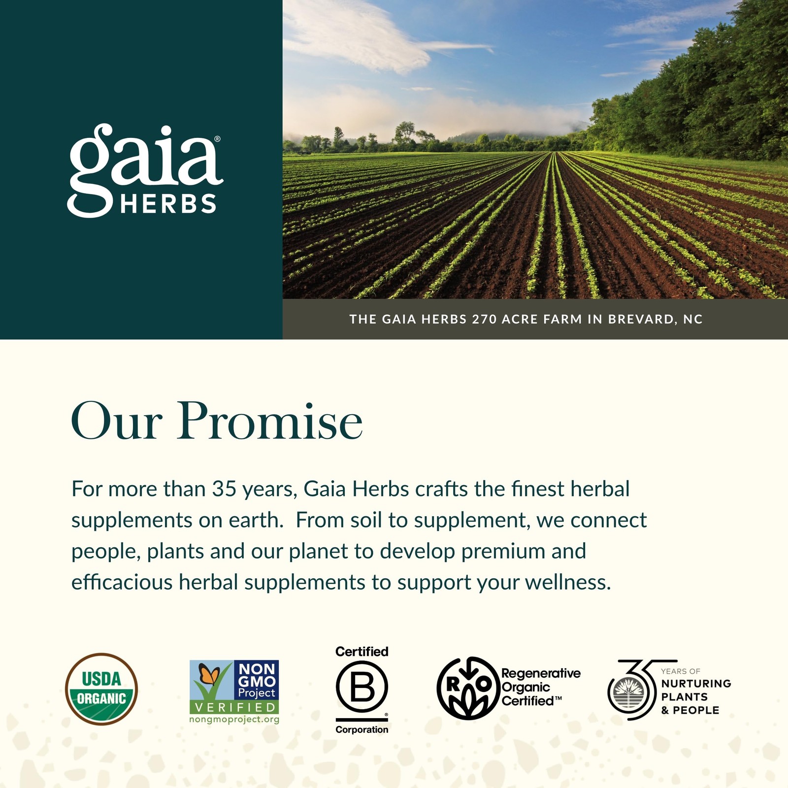 Gaia Herbs Astragalus Supreme – Immune and Antioxidant Support Herbal Supplem…