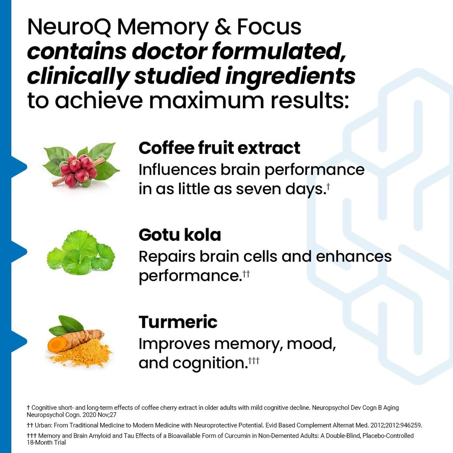 NeuroQ Memory & Focus – Boosts Cognitive Performance & Healthy Brain Function…