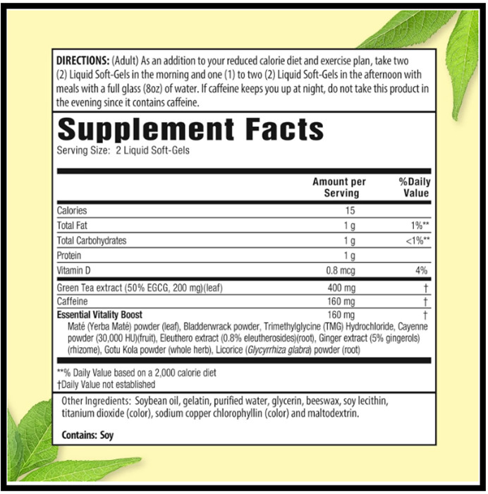 Applied Nutrition Green Tea Fat Burner, Green Tea Extract & Caffeine, 90 Sgels