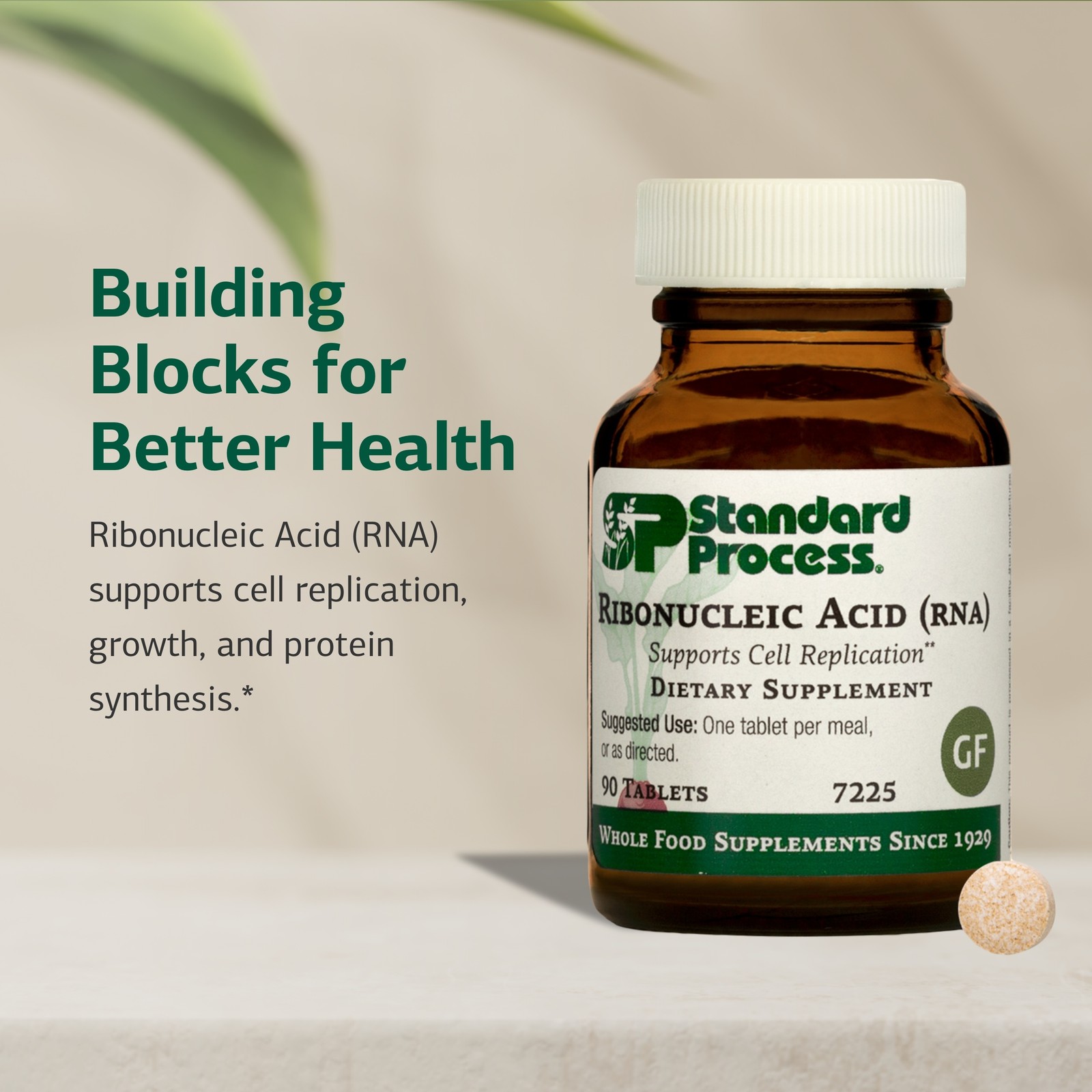 Standard Process – Ribonucleic Acid (RNA) – 90 Tablets