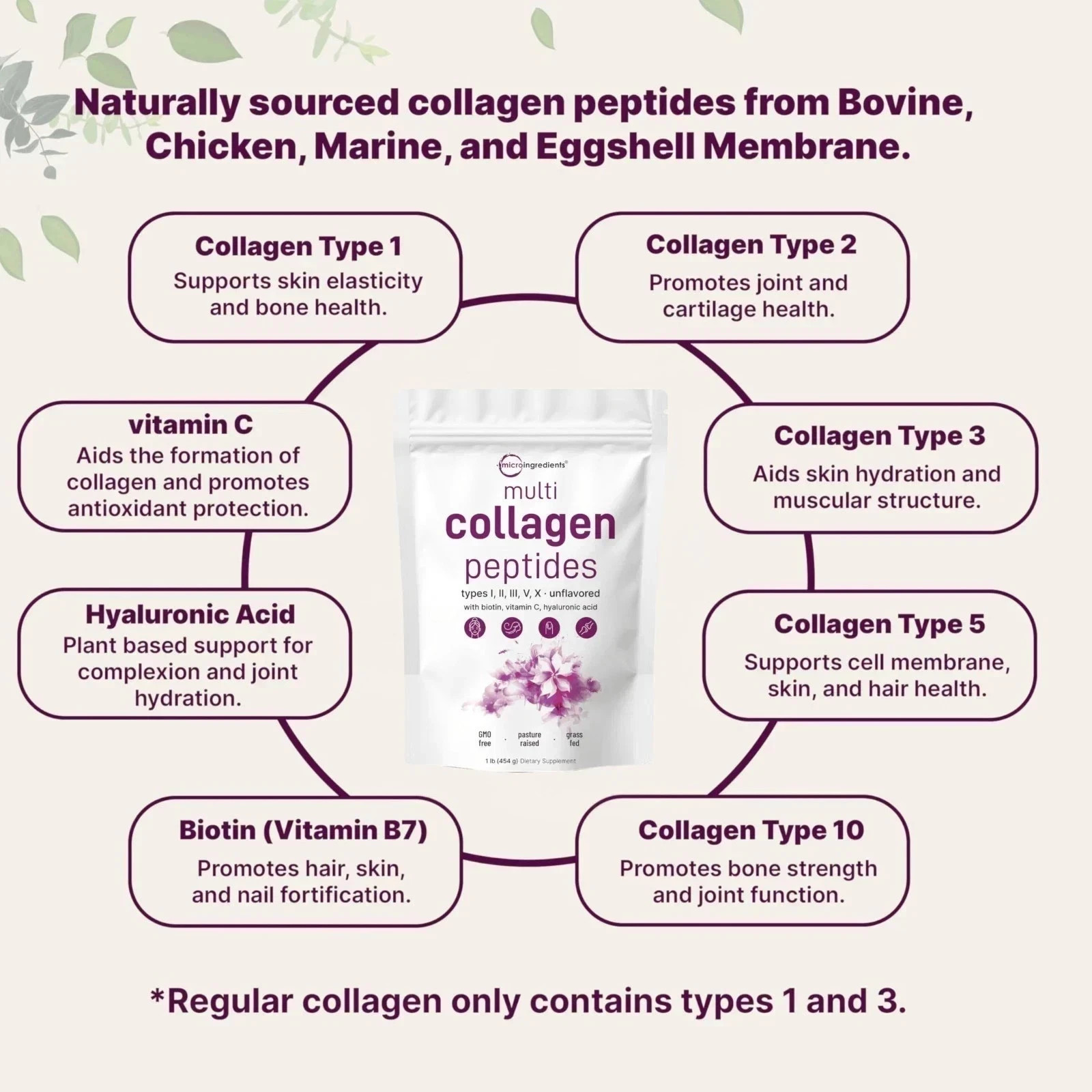 Micro Ingredients Multi Collagen Peptides Powder 16oz – Type I II III V X Unflav