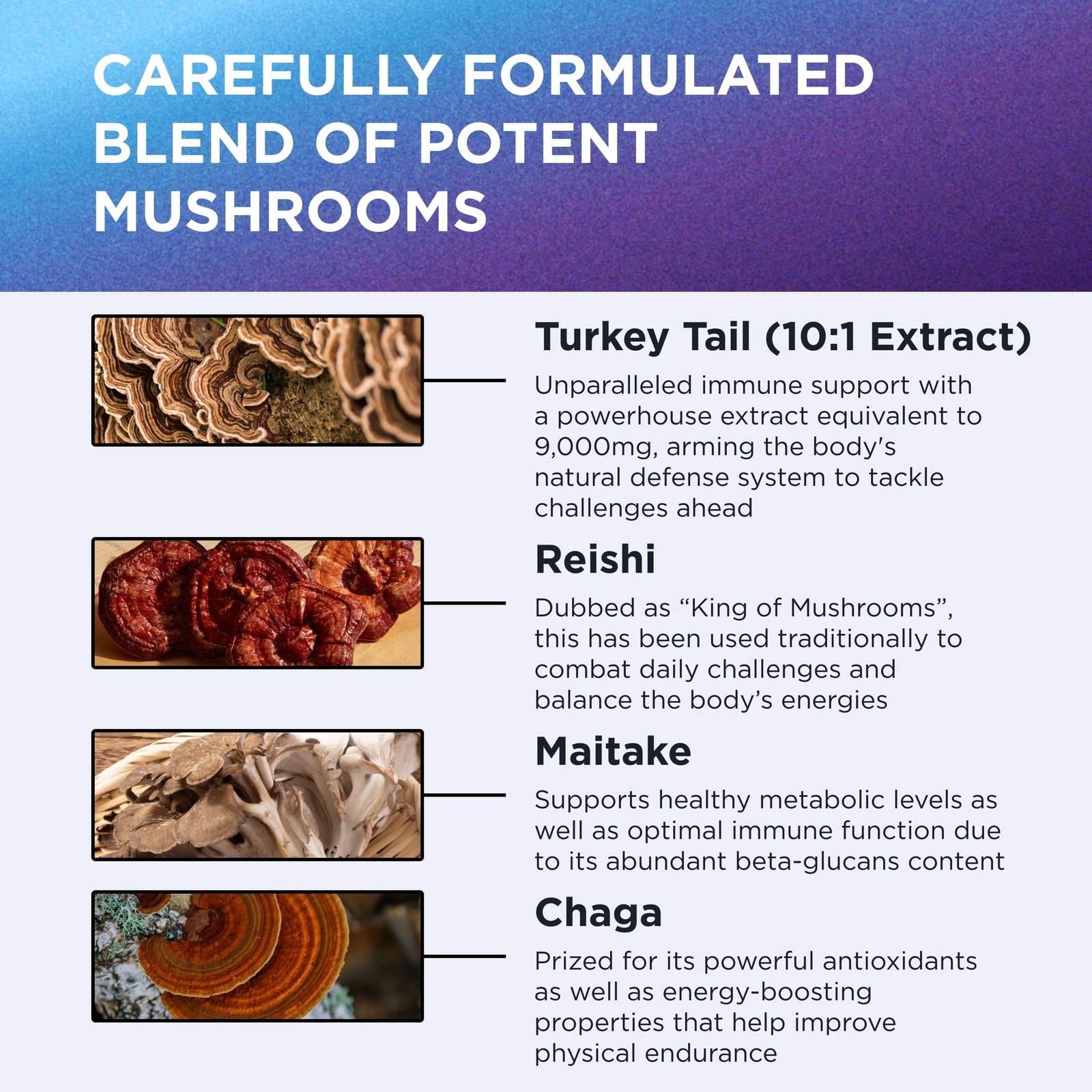 DR. EMIL NUTRITION Mushroom Supplement HighPotency Formula for Focus, Clarit…