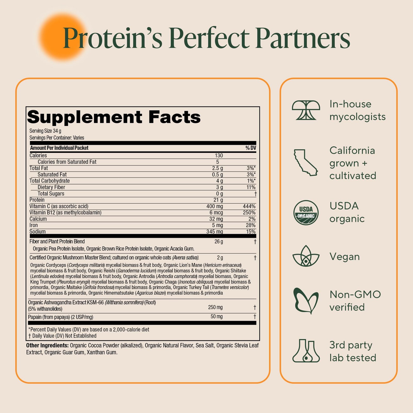 OM MUSHROOM SUPERFOOD Master Blend Vegan Protein – Organic Vanilla Plant Protein