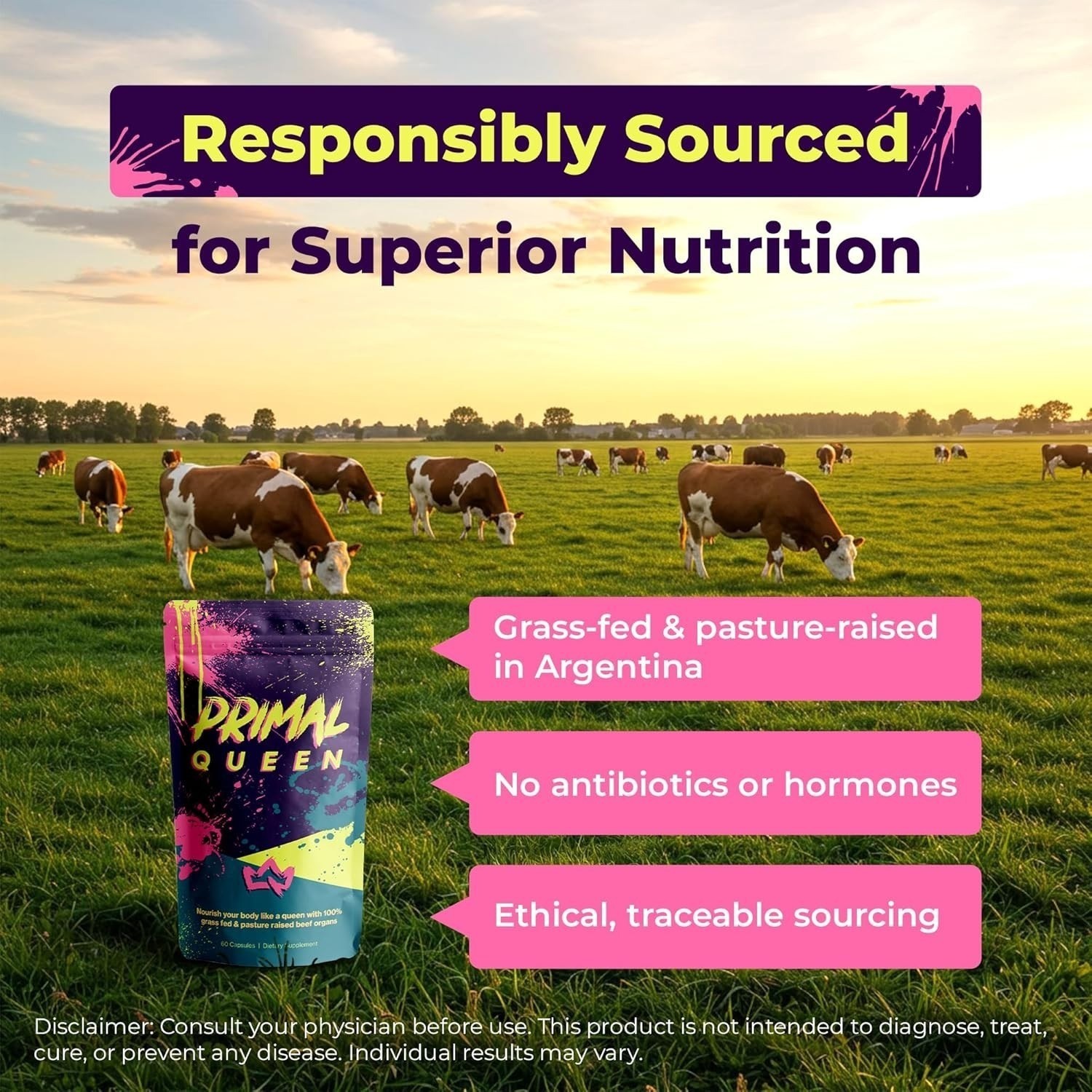 Primal Queen Beef Organ Supplement for Women 60ct – 1 MONTH SUPPLY!