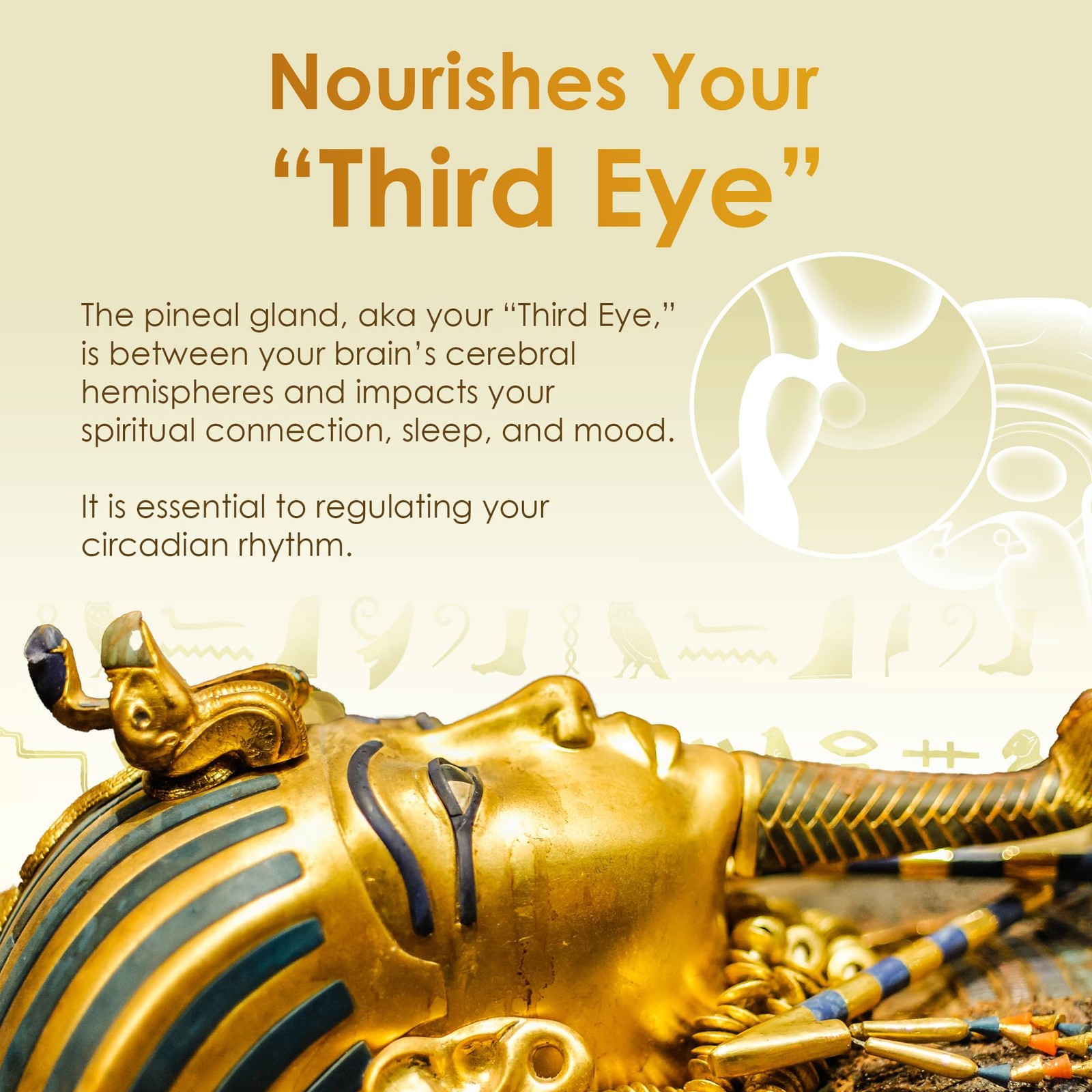 Ultra-Pure, 99.9% Liquid Gold – 24K Monoatomic Gold Ormus – Third Eye Awakeni…