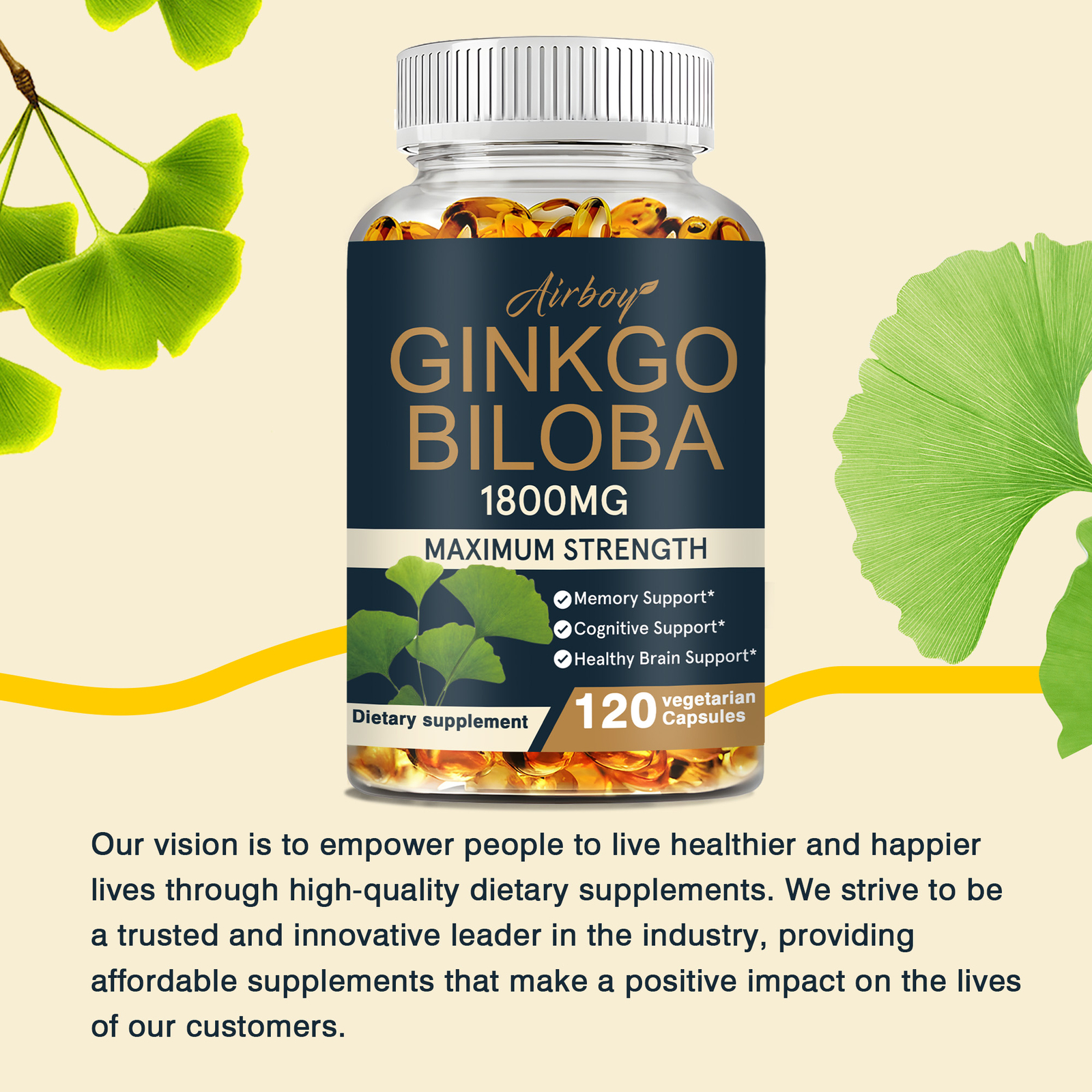 Ginkgo Bilo 1800mg – Healthy Brain, Improve Focus, Memory, and Overall Cognition