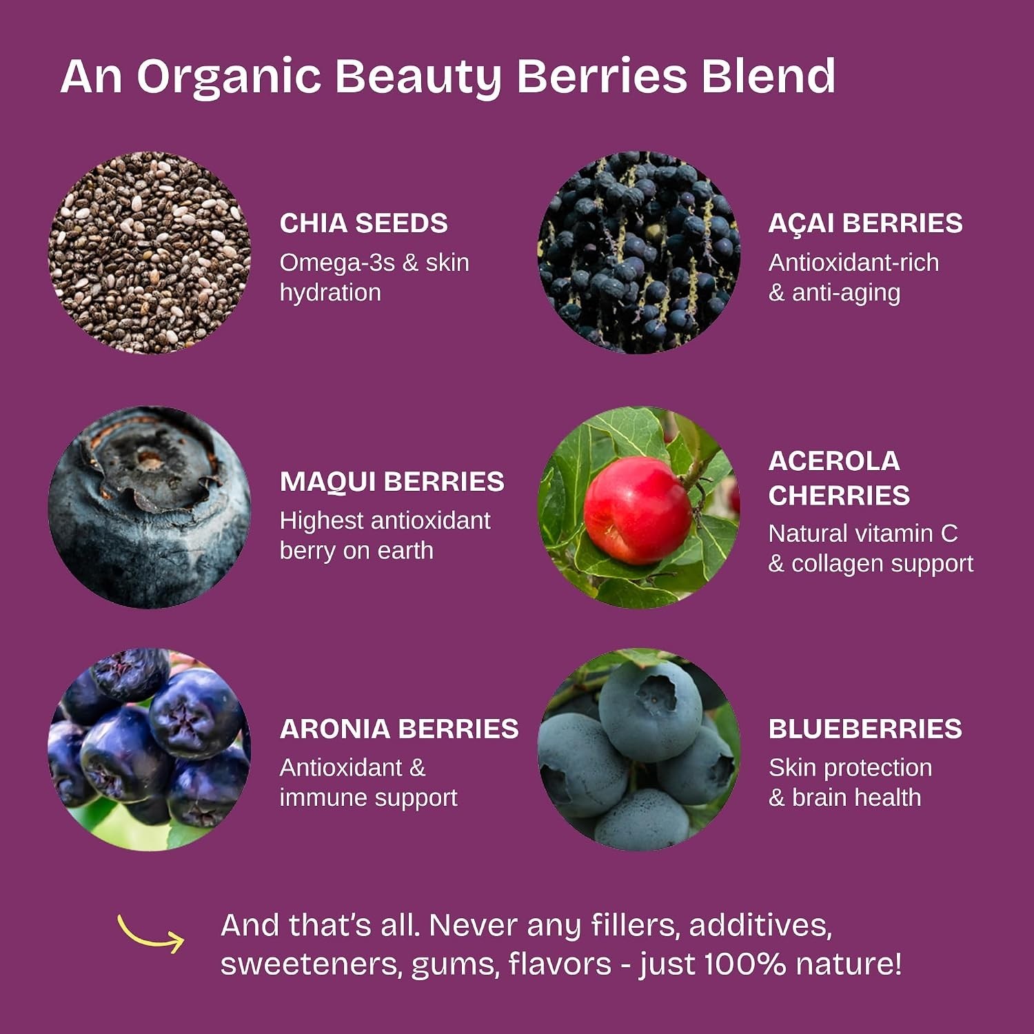 Organic Beauty Berries Superfood Powder for Skin Health Acai Maqui Aronia Chia