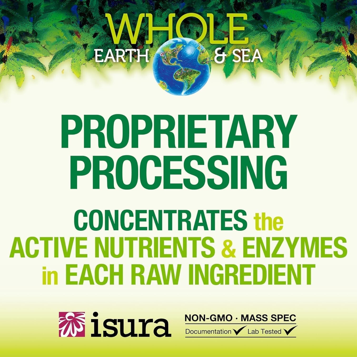 Whole Food Supplement: Whole Earth & Sea Organic Fermented Greens 6.9 Oz
