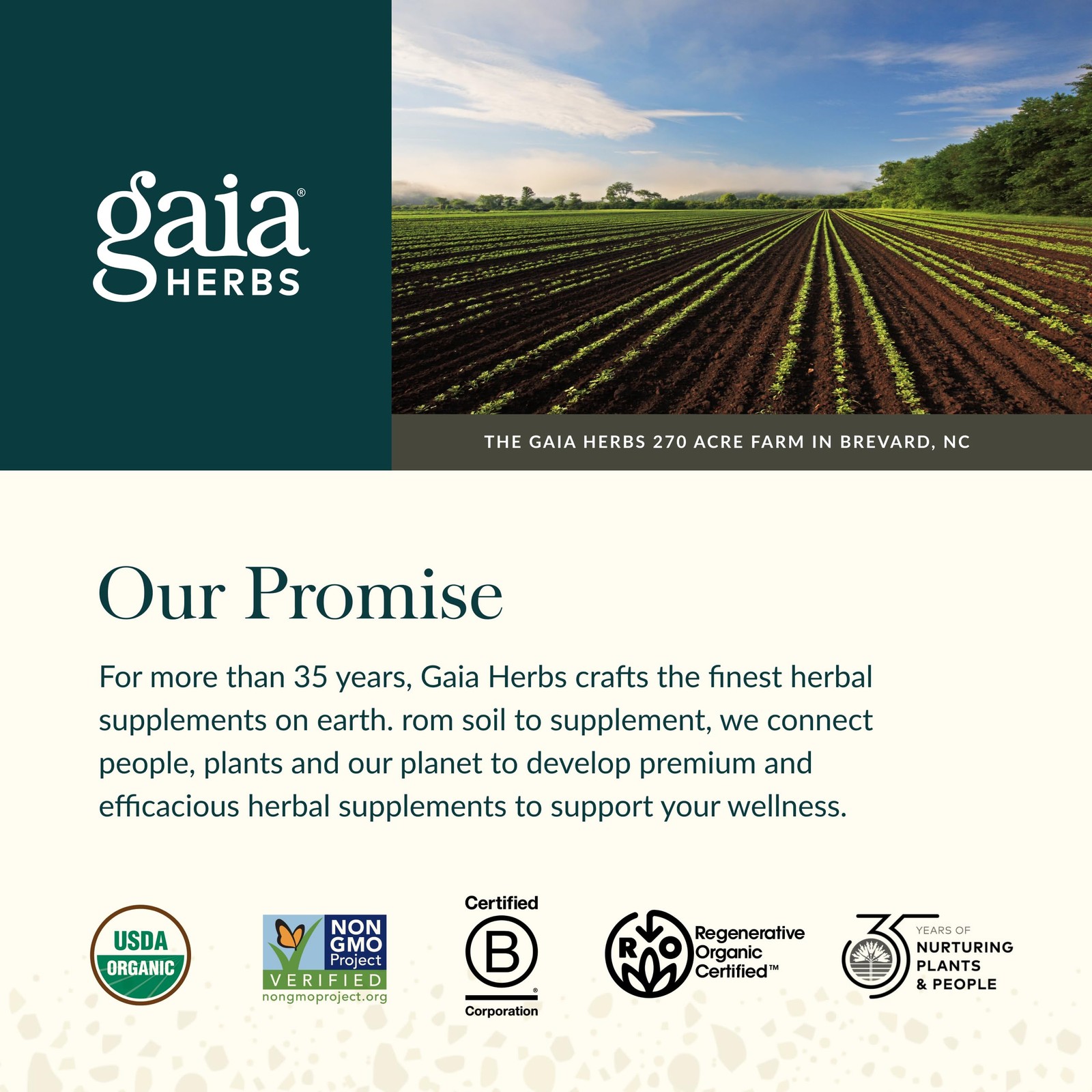 Gaia Herbs Sound Sleep – Natural Sleep Support to Promote Calm & Relaxation -…