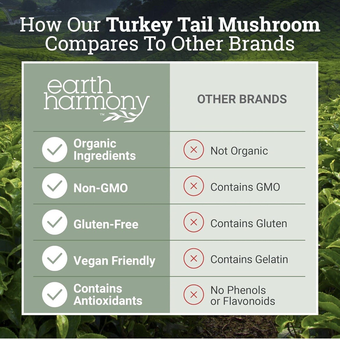 Turkey Tail Mushroom 120 Capsules Superfood Supports Brain Health Premium x4/26