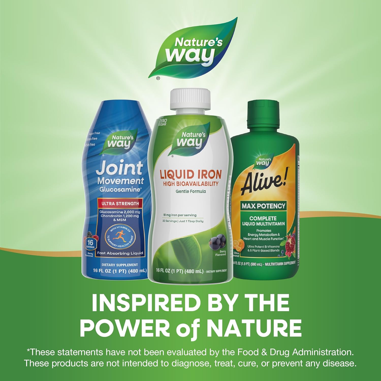 Liquid Iron, Provides 100% Daily Value of Iron, 18 Mg as Ferric Glycinate per Se