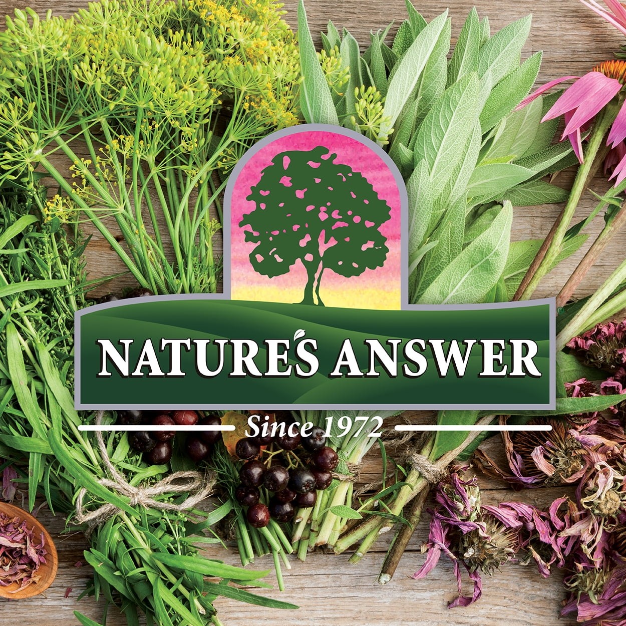Nature s Answer Sambucus Original Flavor 12 000 mg 8 fl oz 240 ml Alcohol-Free