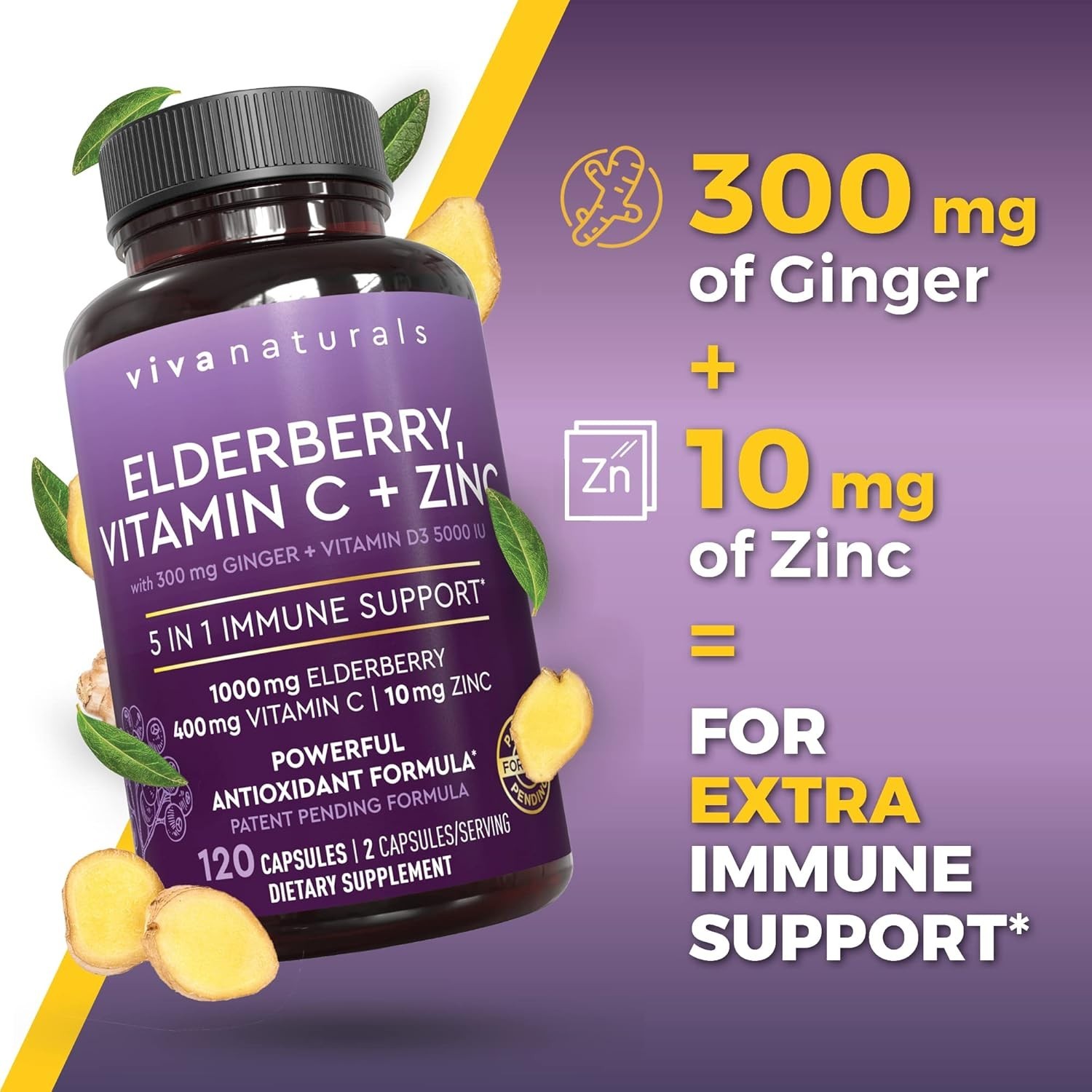 Sambucus Black Elderberry 5-in-1: Vitamin C, D3, Zinc Immunity Support