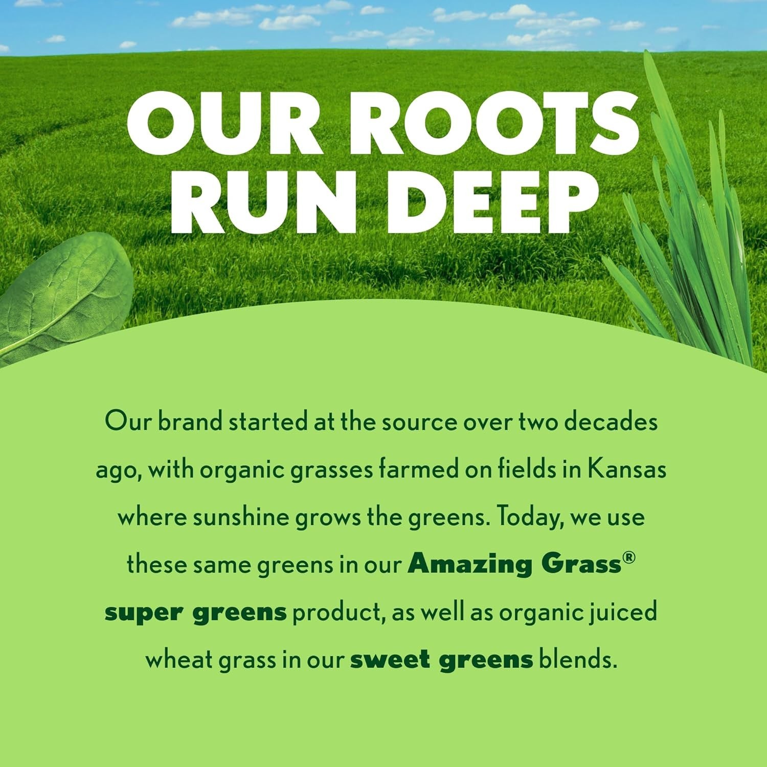 Organic Super Greens Powder – Lemon Lime Energy Blend with Plant-Based Caffeine