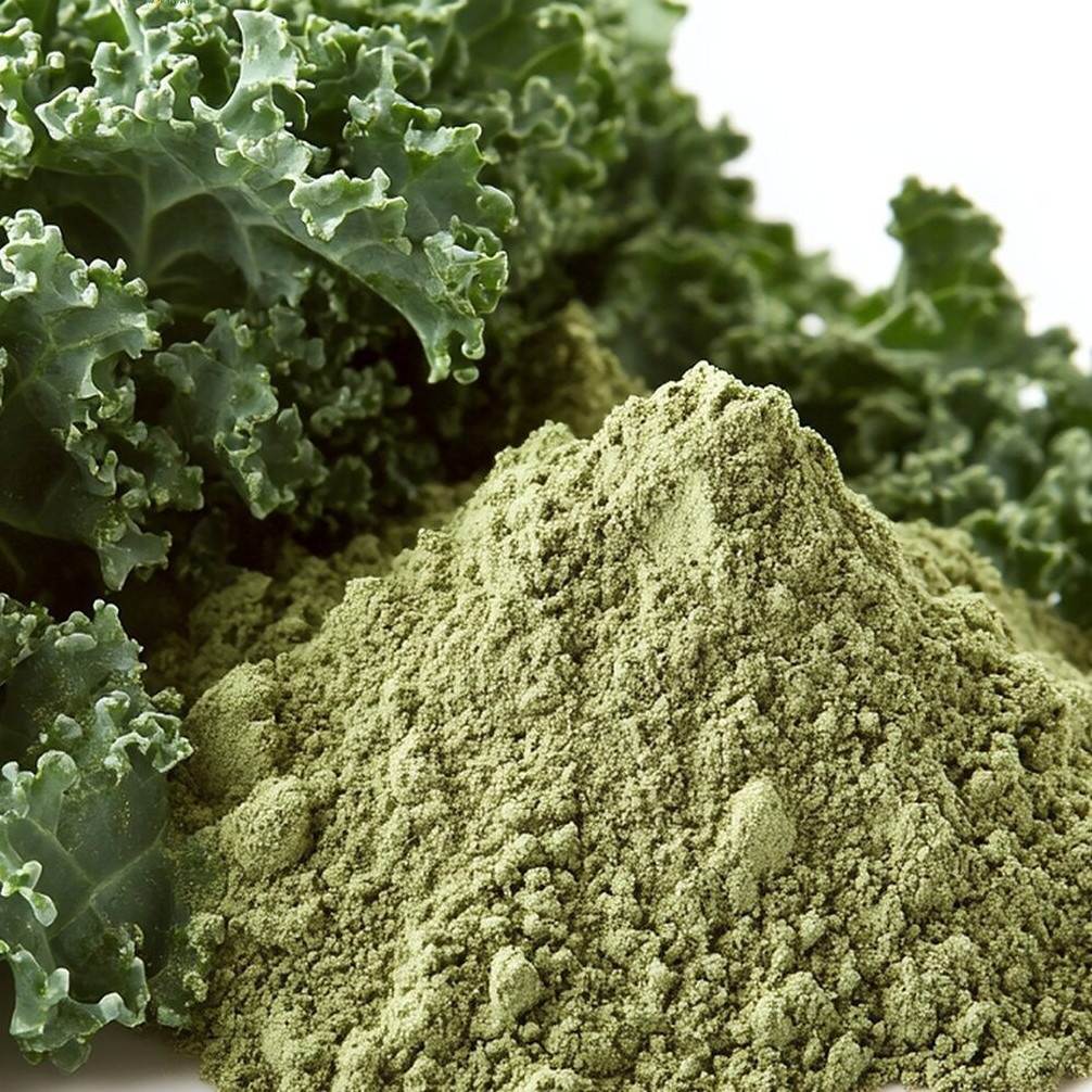 100% Pure Kale Powder 100g Thai Superfood No Sugar Natural Green Vegetable