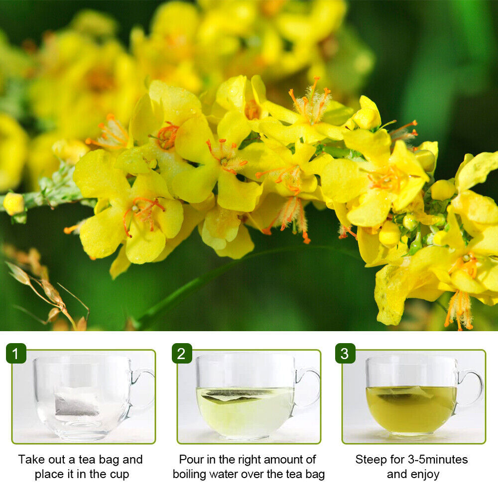Mullein Leaf Tea Bags For Lung Cleanse Detox Herbal Enhance Immunity Support