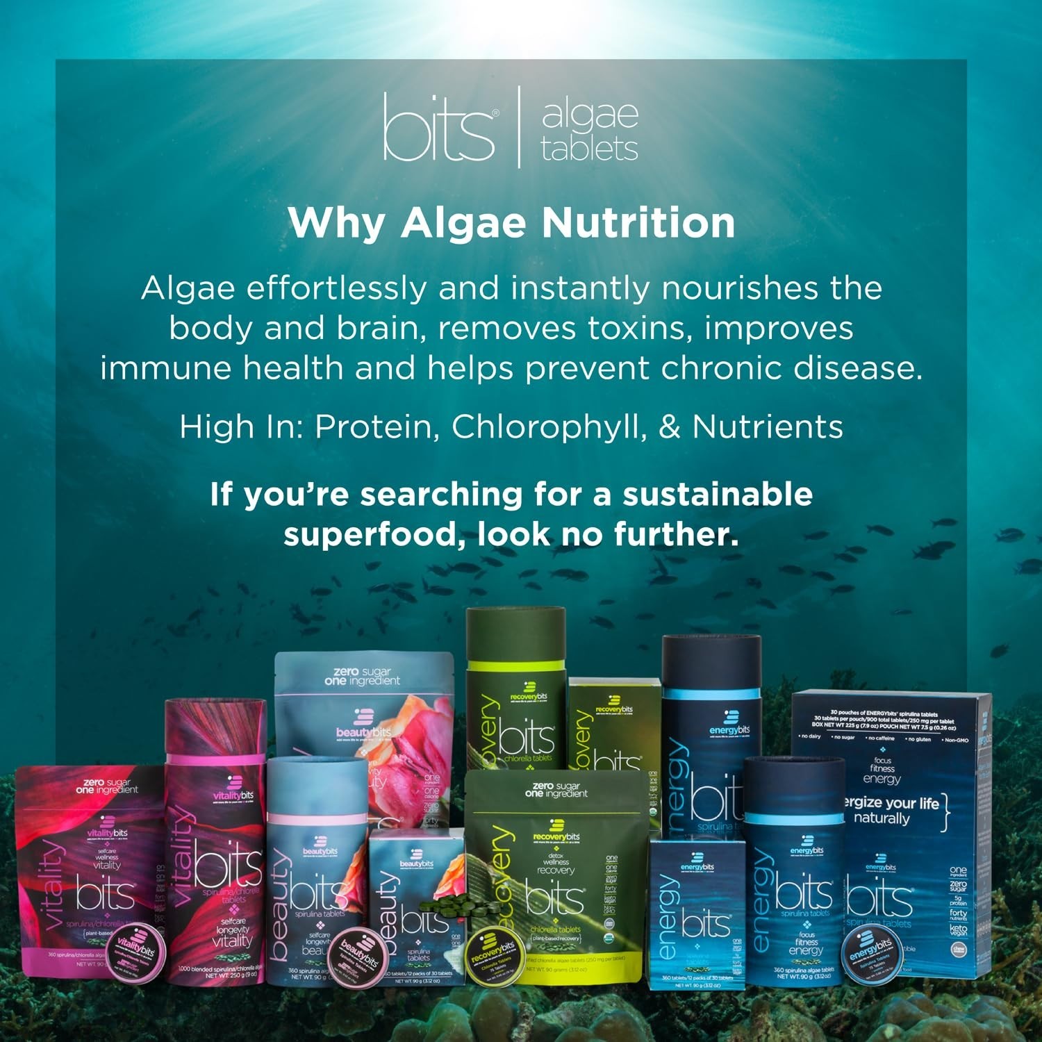 ENERGYbits – Organic Spirulina & Chlorella Tablets – Packs 4 Bags, 30/Bag