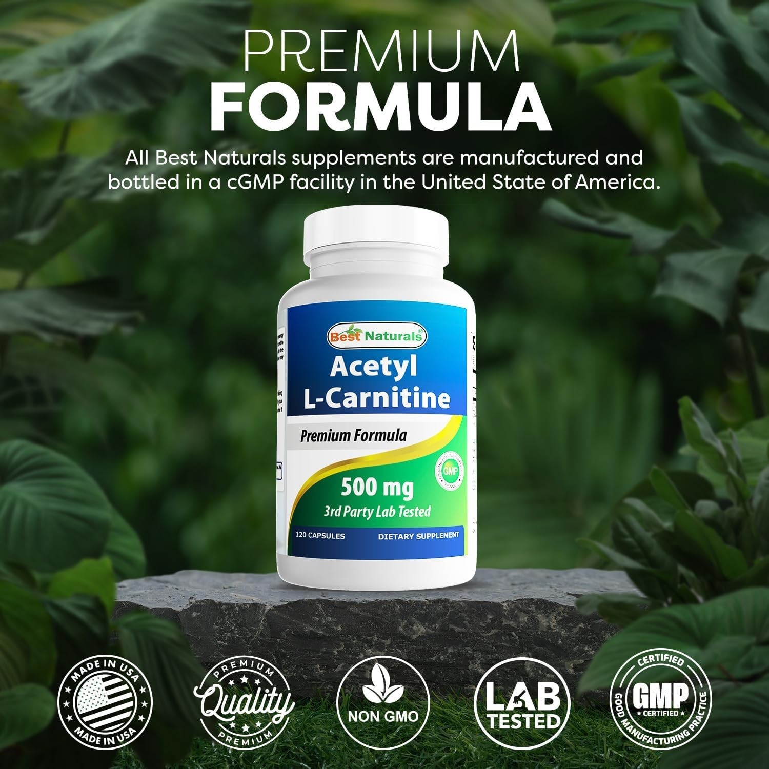 Acetyl L-Carnitine 500mg – 120 Capsules for Cognitive Support & Energy Boost