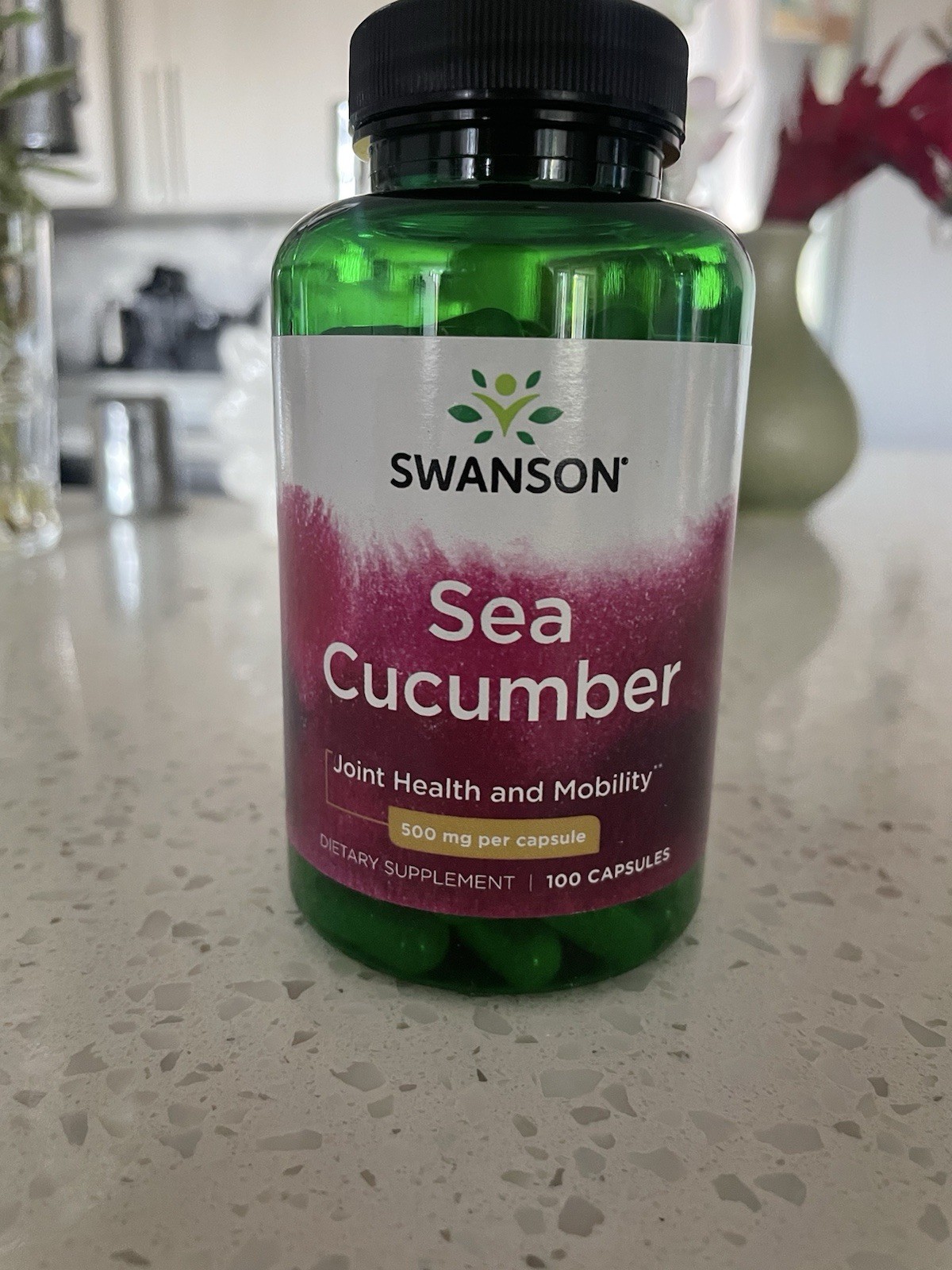Swanson Sea Cucumber Supplement 500mg, 100 Capsules