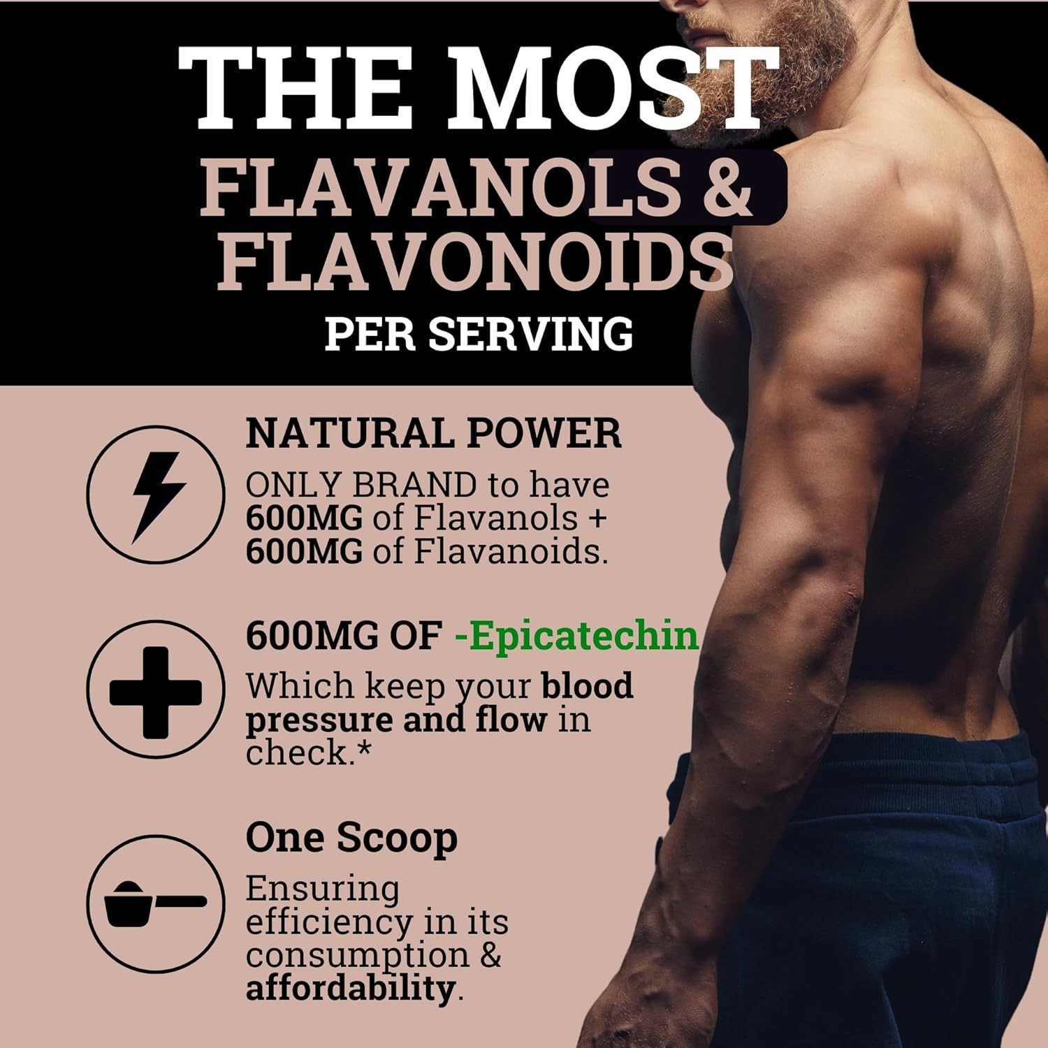 2 Flavonoid Powder and Cocoa PACK! Supplements Forest High Flavanol Black 1200mg