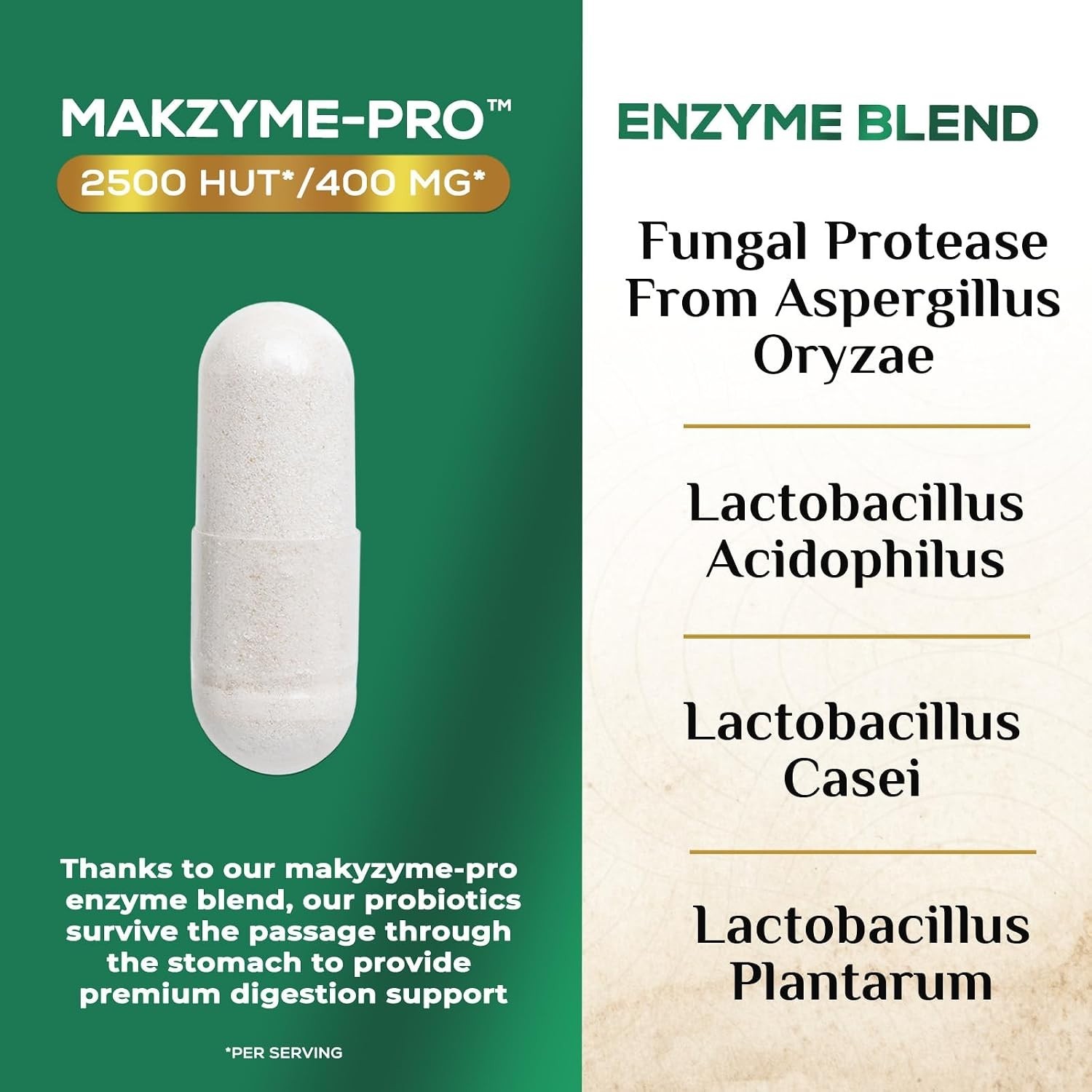 Digestive Enzymes – Super Multi Enzyme 120 Count (Pack of 1)