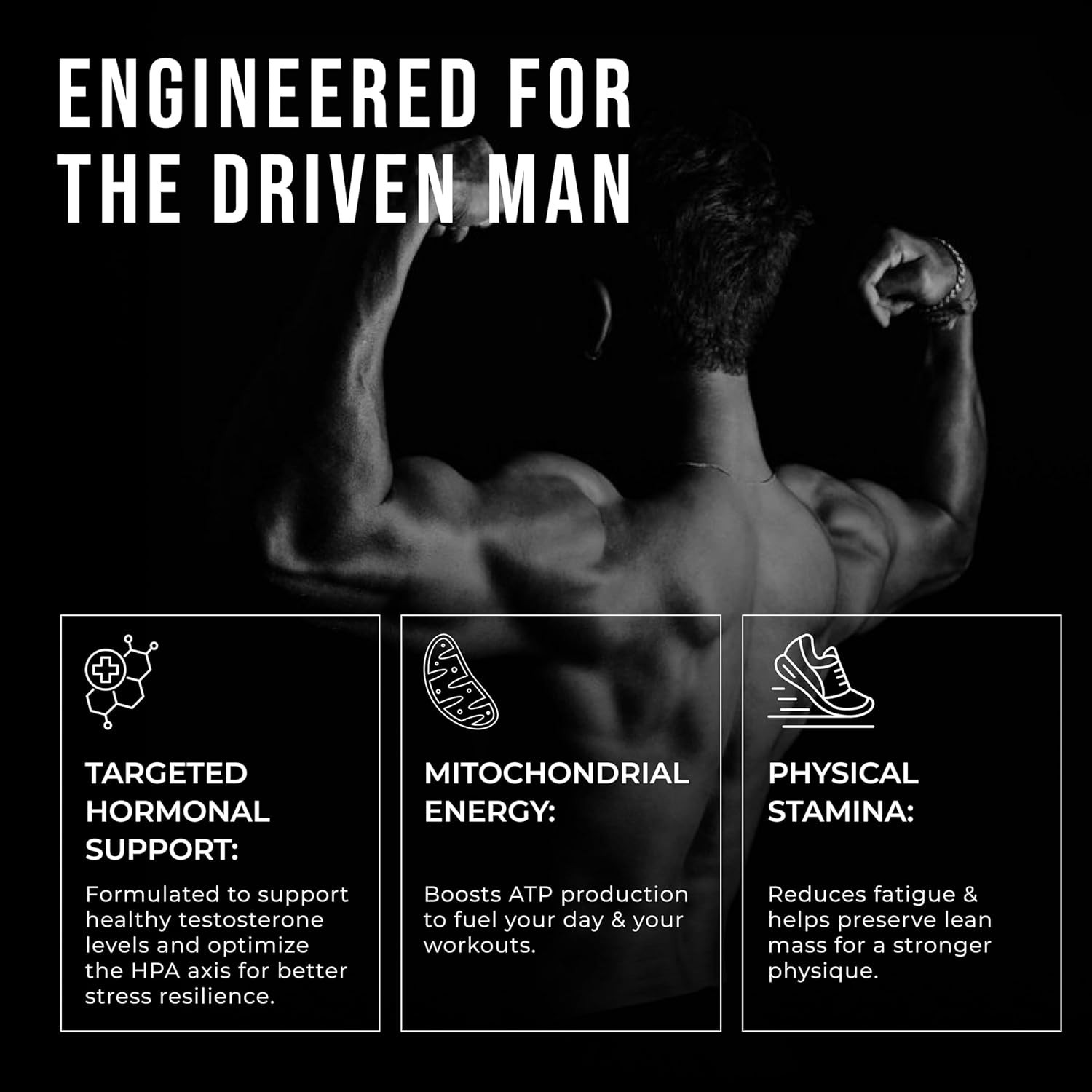 ERODUS Men Herbal Supplement Powder Ashwagandha Energy Vitality Support