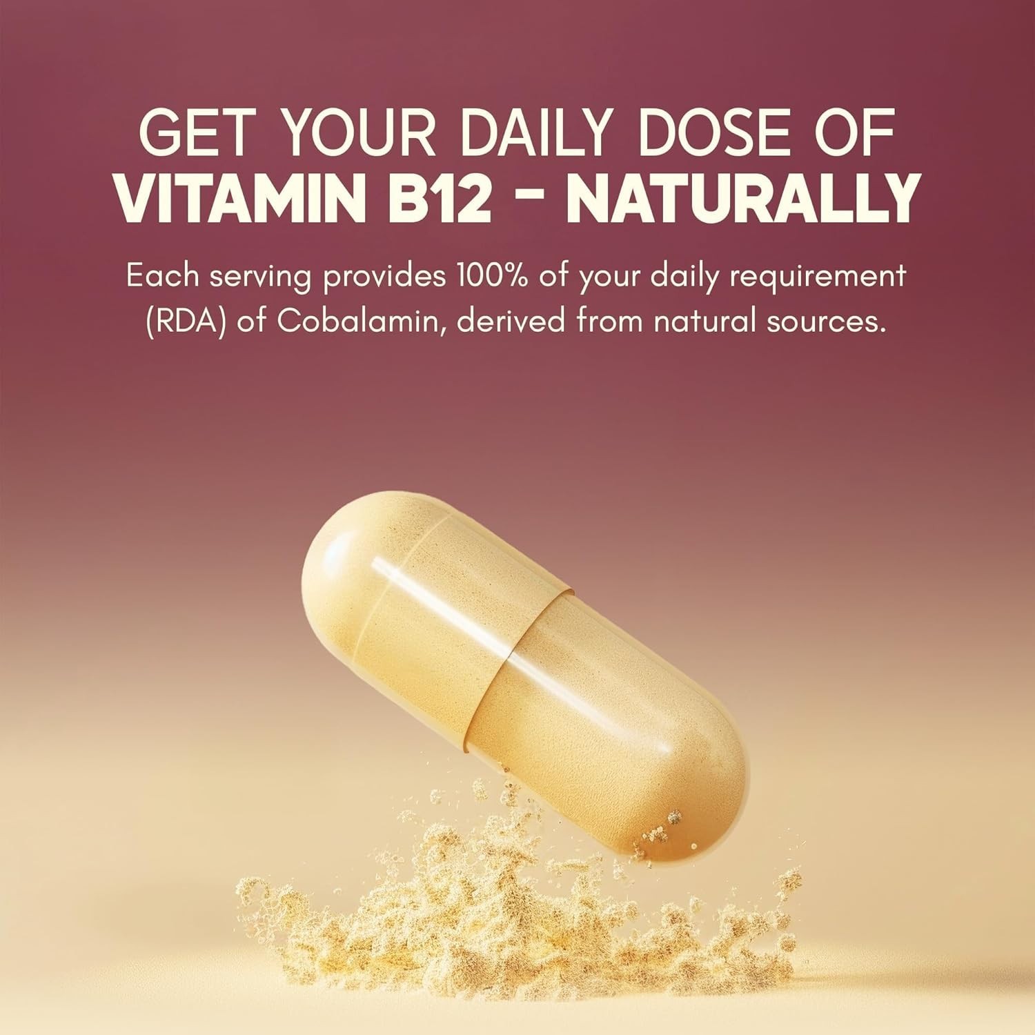 2x Rasayanam Plant Based Vitamin B12 With Amla & Moringa – 60 Veg Capsules Each
