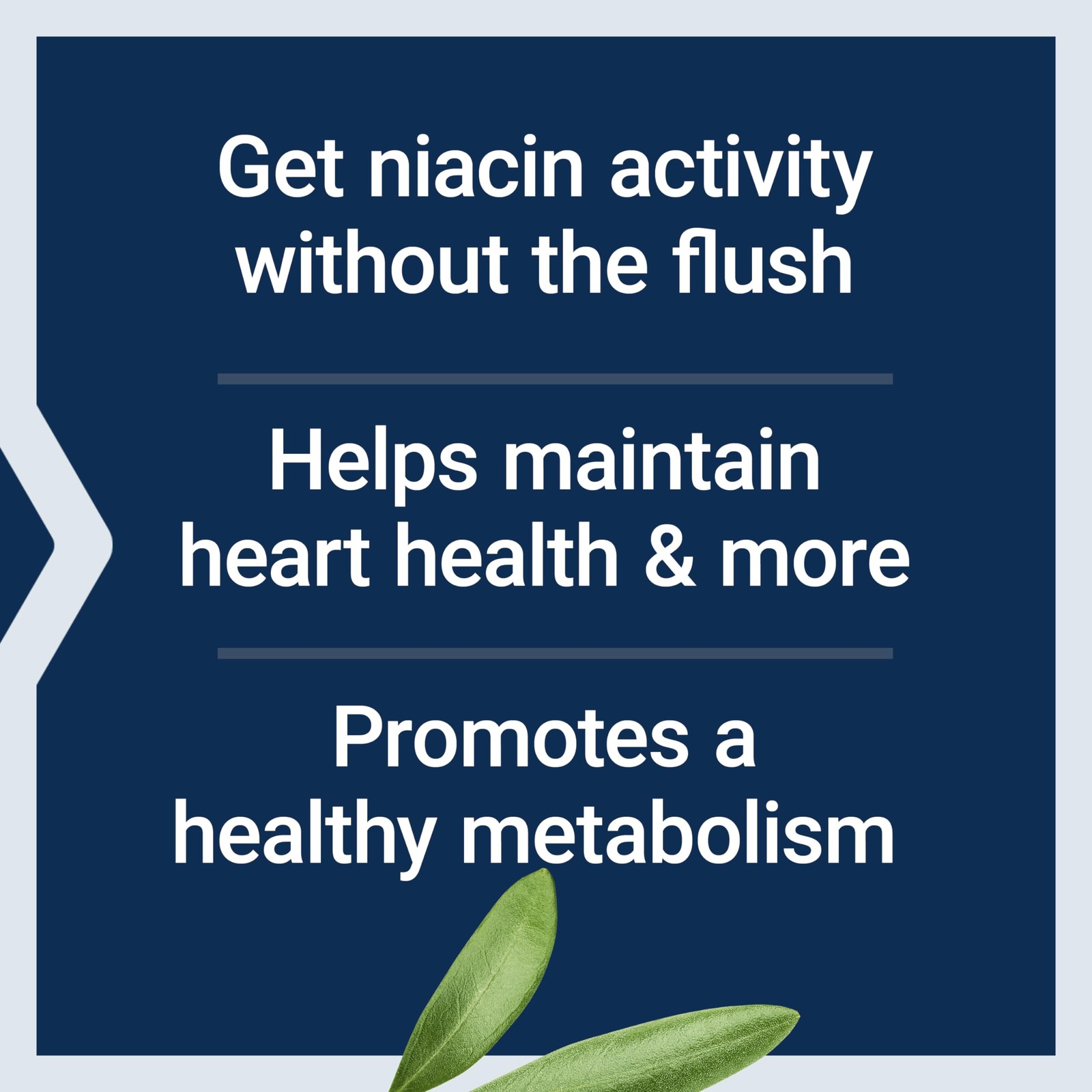 Niacin B3 Capsules 100 Count Heart Health Cholesterol Support Life Extension