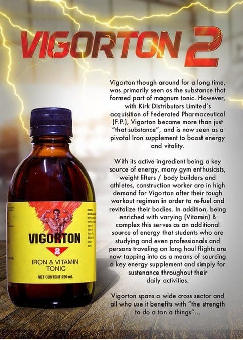 Vigorton 2 Iron & Multivitamin Liquid Tonic – 230ml Energy Vitality Supplement