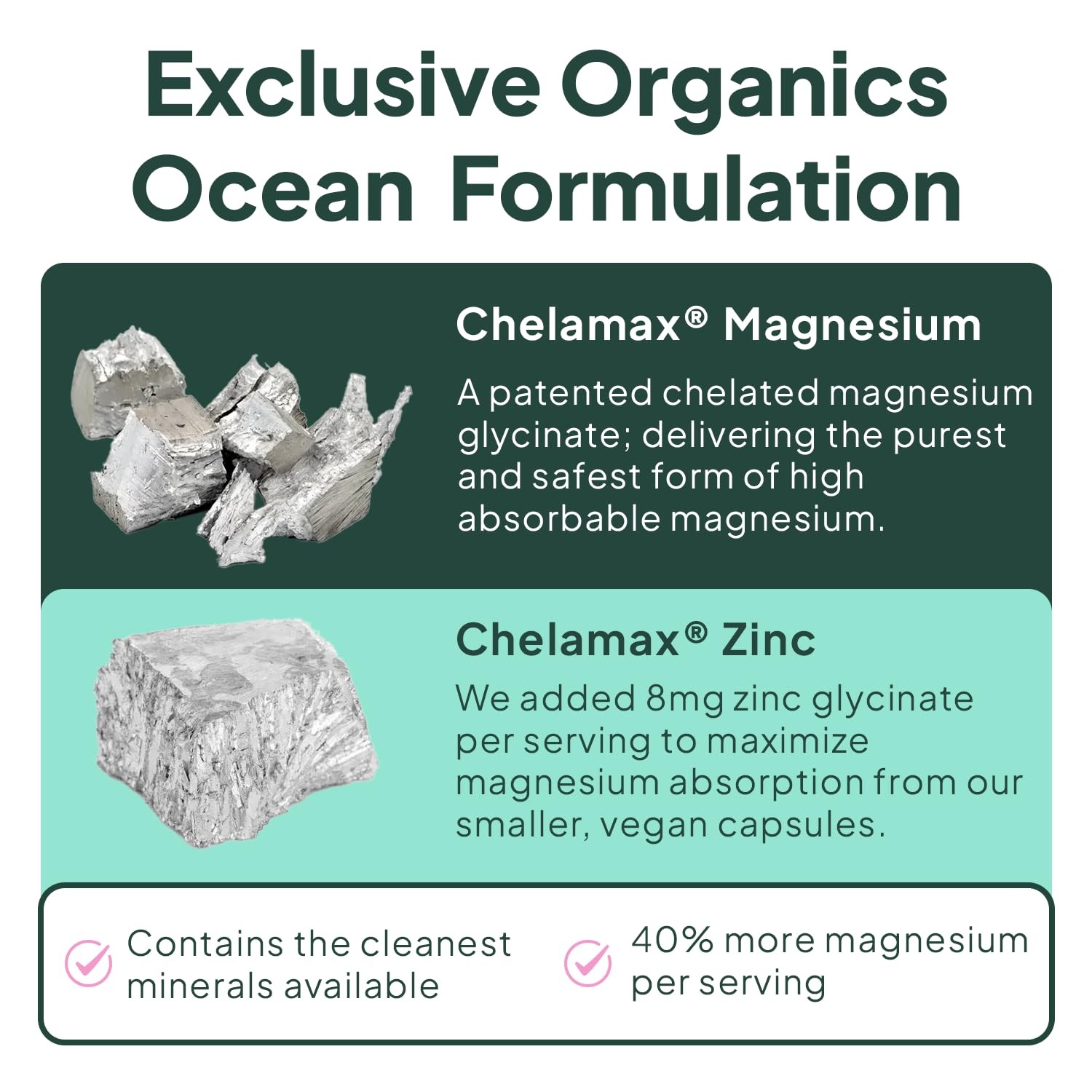 Organics Ocean Pure Magnesium Glycinate with Zinc – 90 Count (Pack of 1)