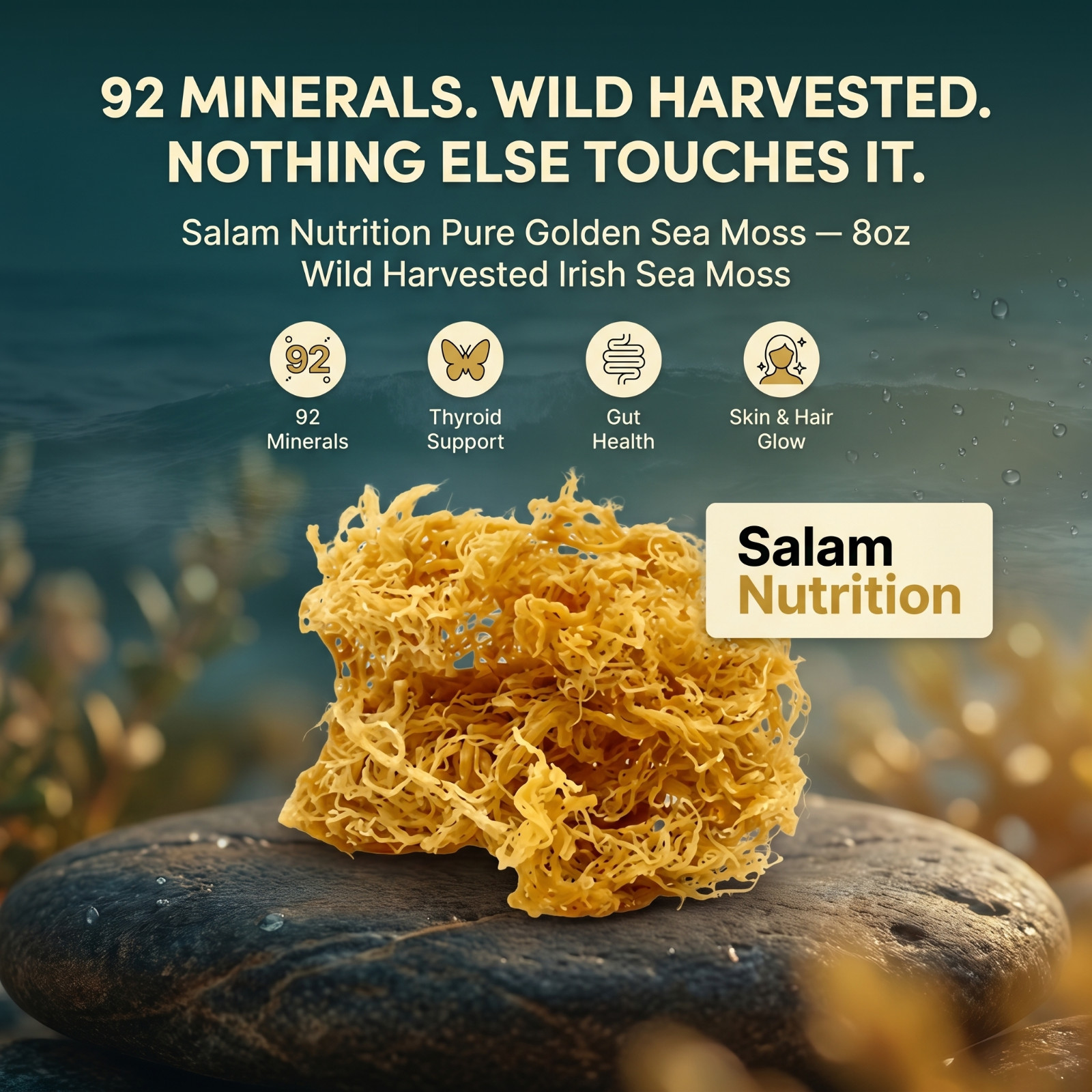 IRISH SEA MOSS – PURE 92 Minerals Thyroid Support Gut Health Glow Skin Hair Glow