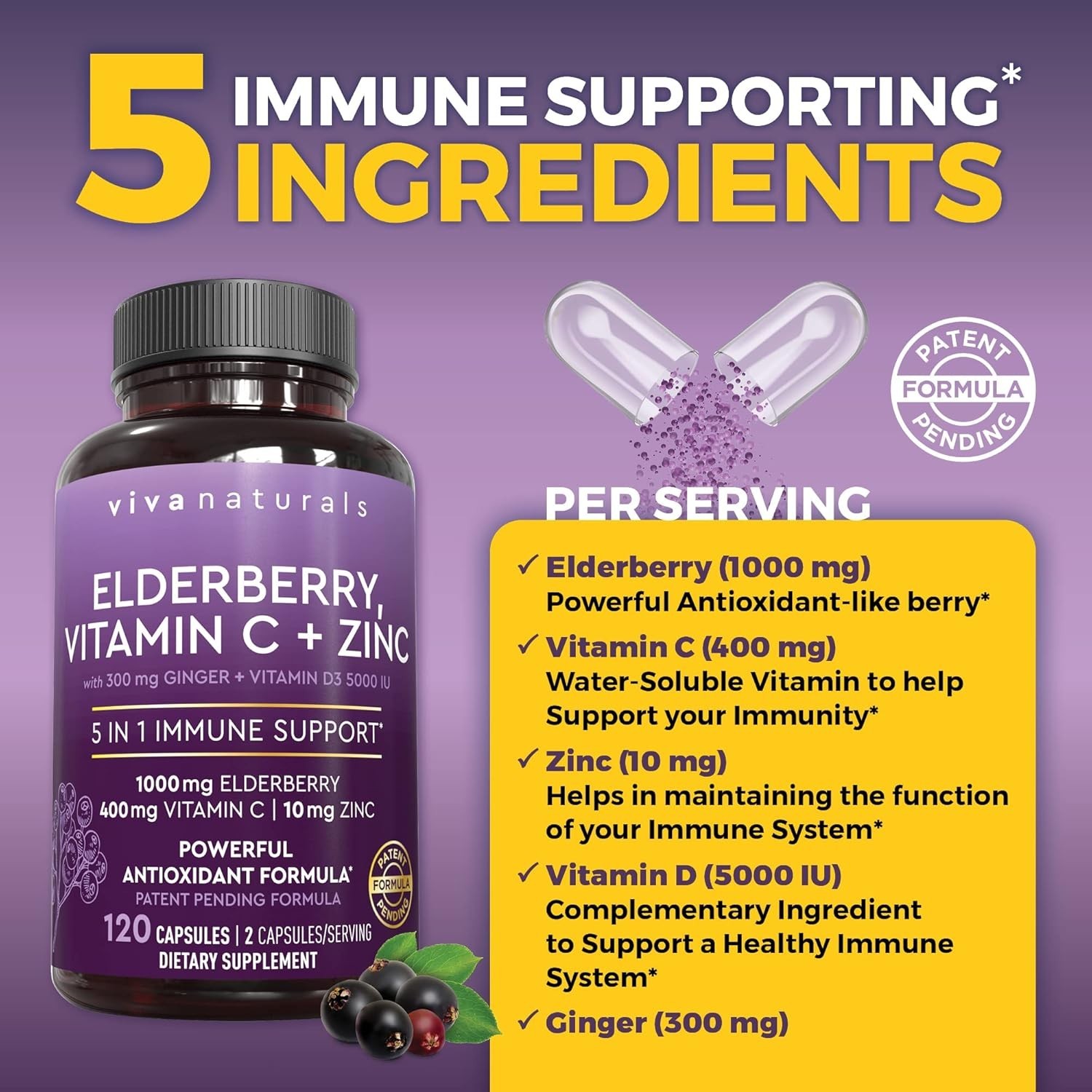 Sambucus Black Elderberry 5-in-1: Vitamin C, D3, Zinc Immunity Support