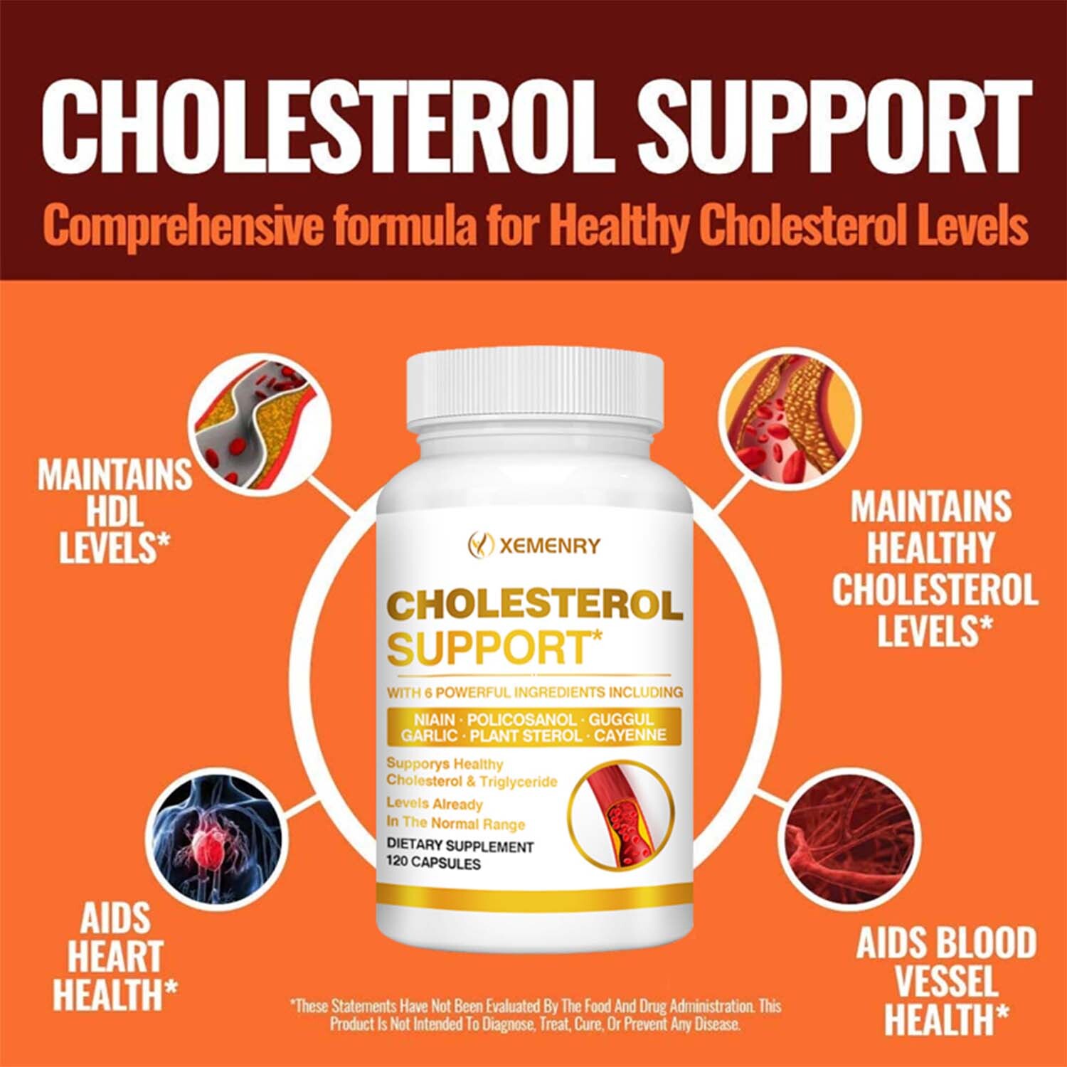 Cholesterol Support – Balance Cholesterol Supplement High Cholesterol Lowering
