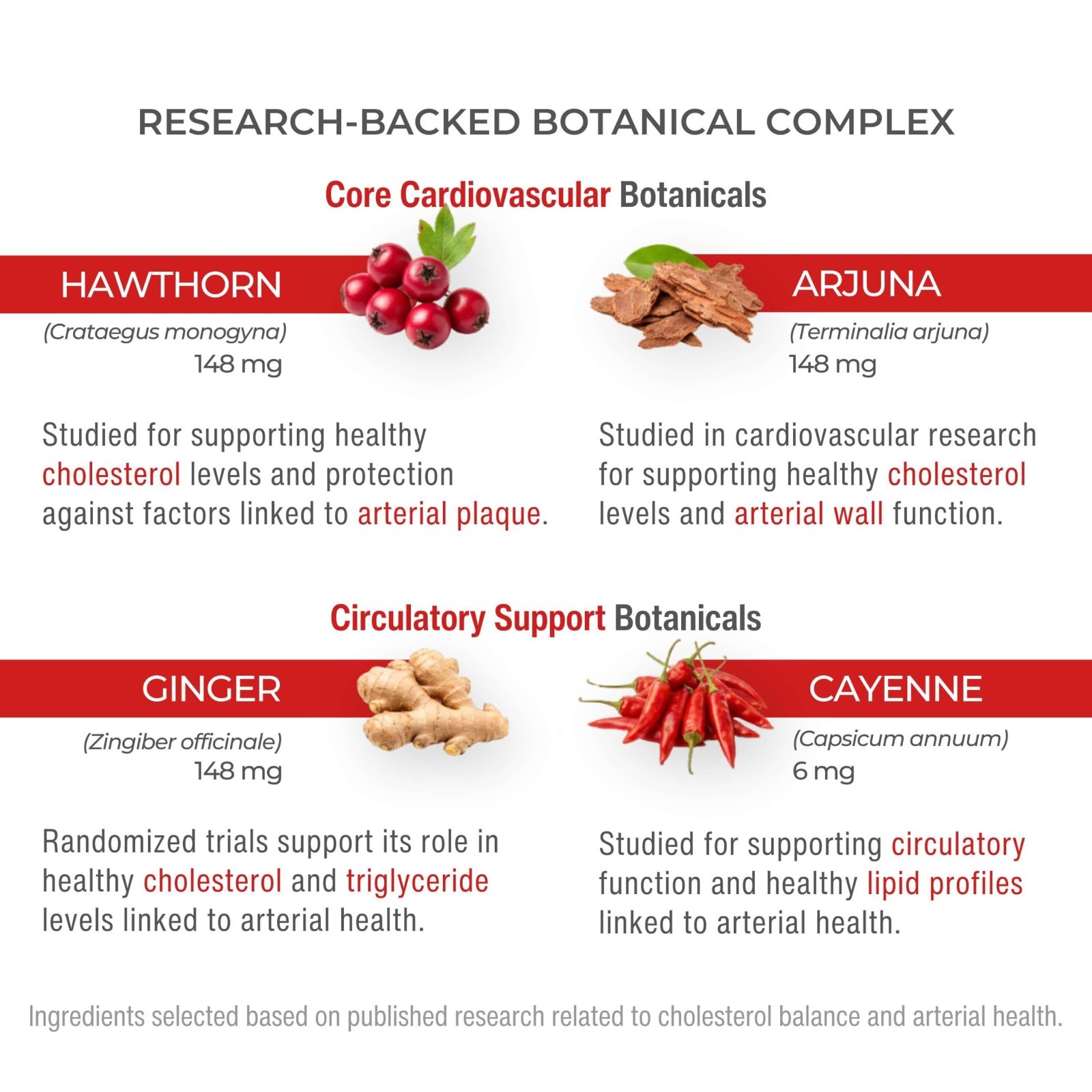 2-Pack Plant-Based Cholesterol Support Supplement | Healthy Circulation & Heart