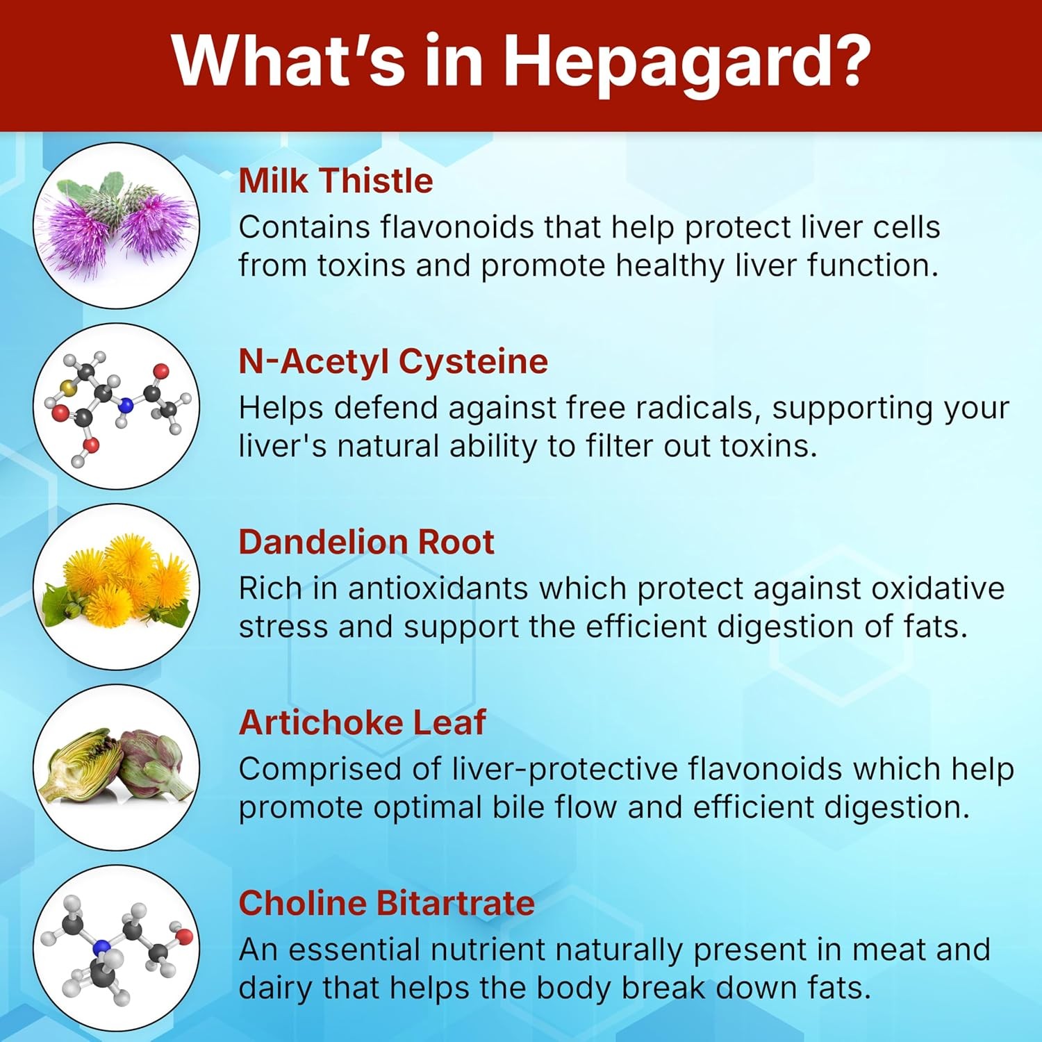Hepagard Natural Liver Support Supplement with NAC, Vegan, Gluten-Free | Promote