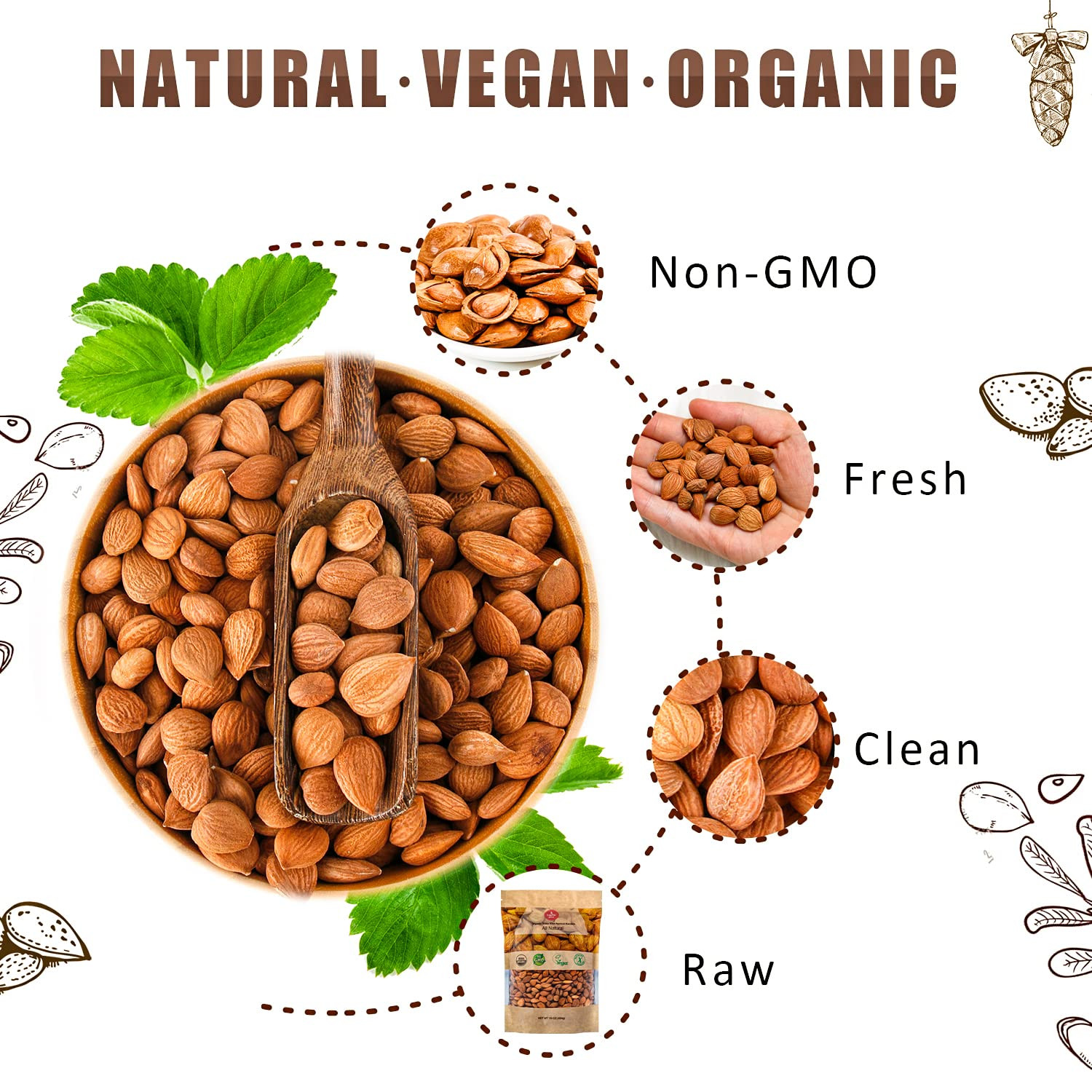 USDA Organic Bitter Apricot Kernels(1Lb) 16Oz, Natural Raw Bitter Apricot See…