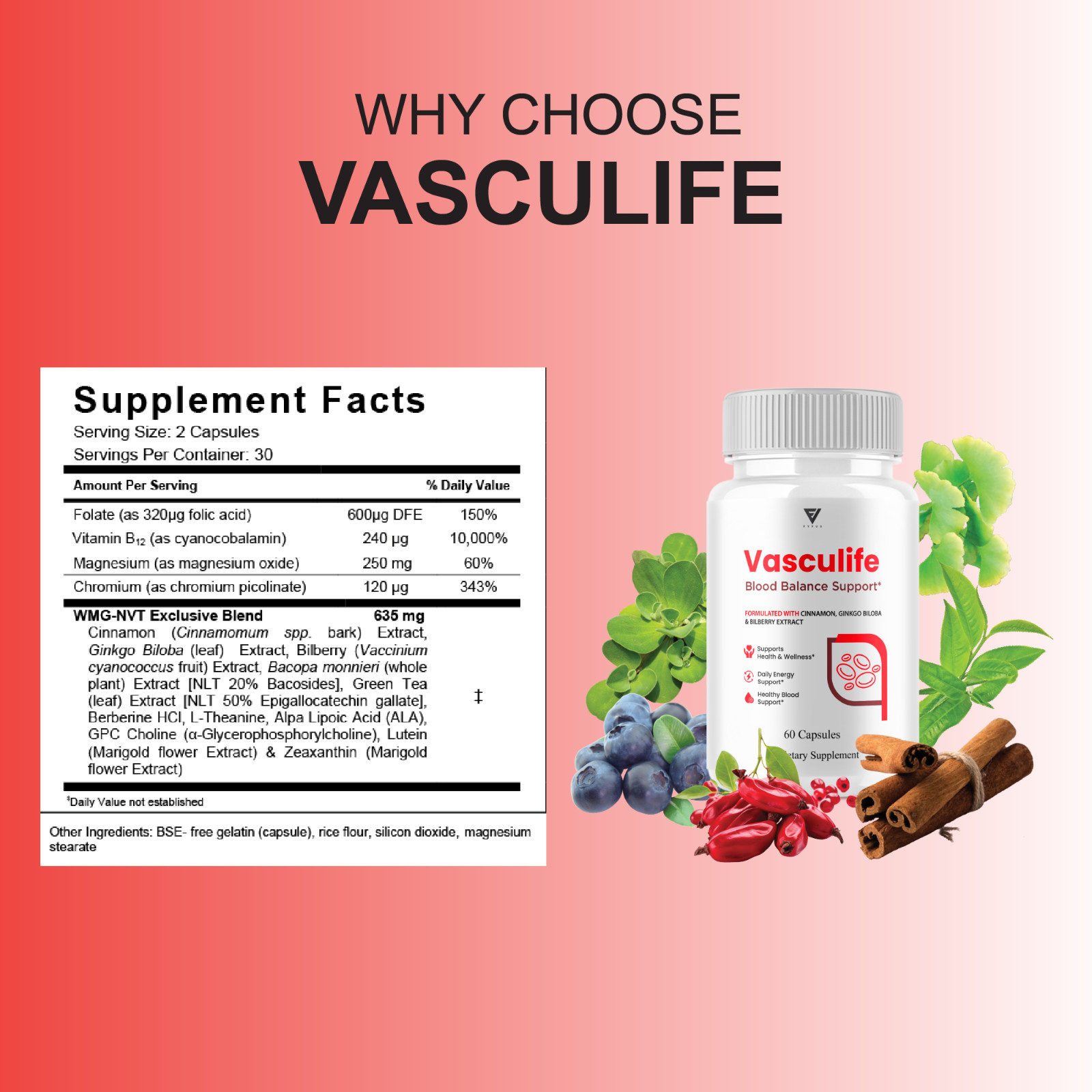 Vasculife Blood Balance, Vasculife Advanced Blood Health (60 Capsules)
