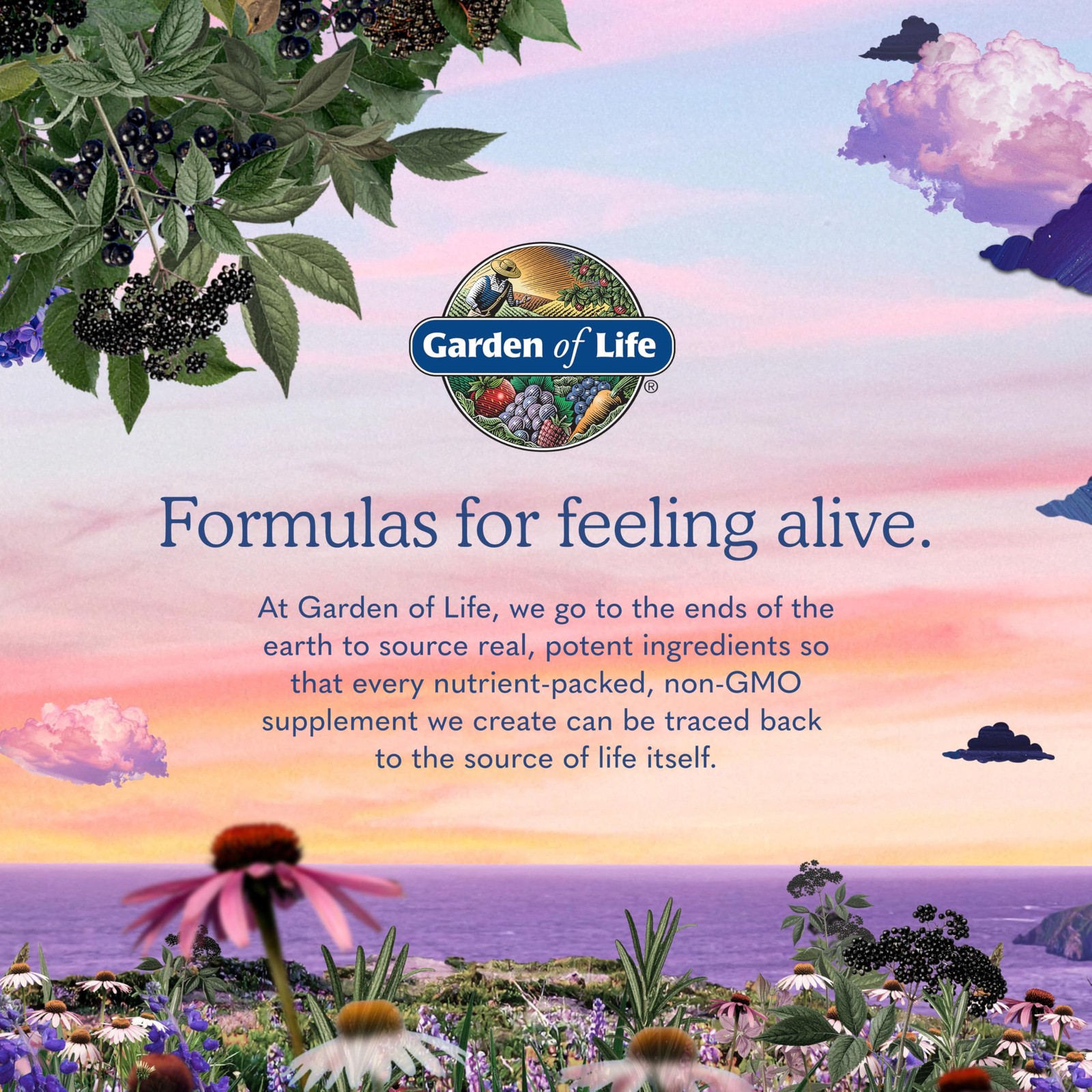 Garden of Life Organics Extra Strength 120 Count (Pack 1), No Color