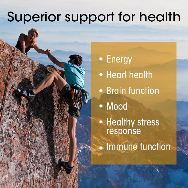 Vitamin B Complex 120 Capsules B1,B2,B3,B5,B6,B7,B9,B12, Immune Support Pills