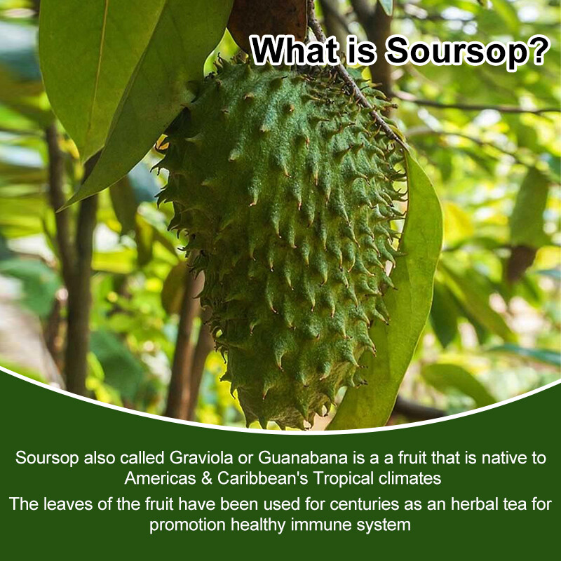 Soursop Graviola Capsules Leaf & Fruit Extract 120 Capsules High Potency 1000mg
