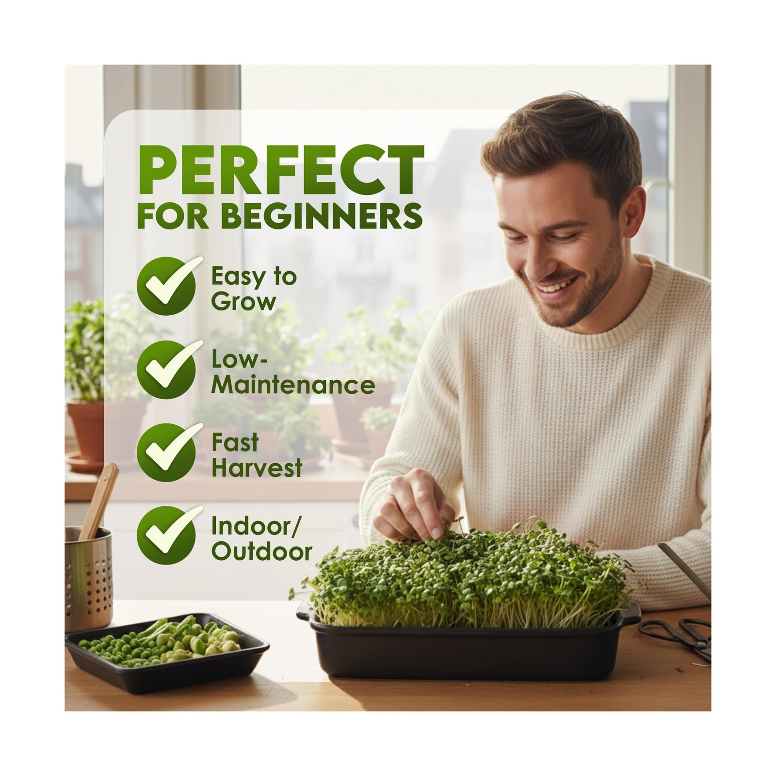 Nature Jims Sprouts Organic Broccoli Seeds for Sprouting – Certified Non-G