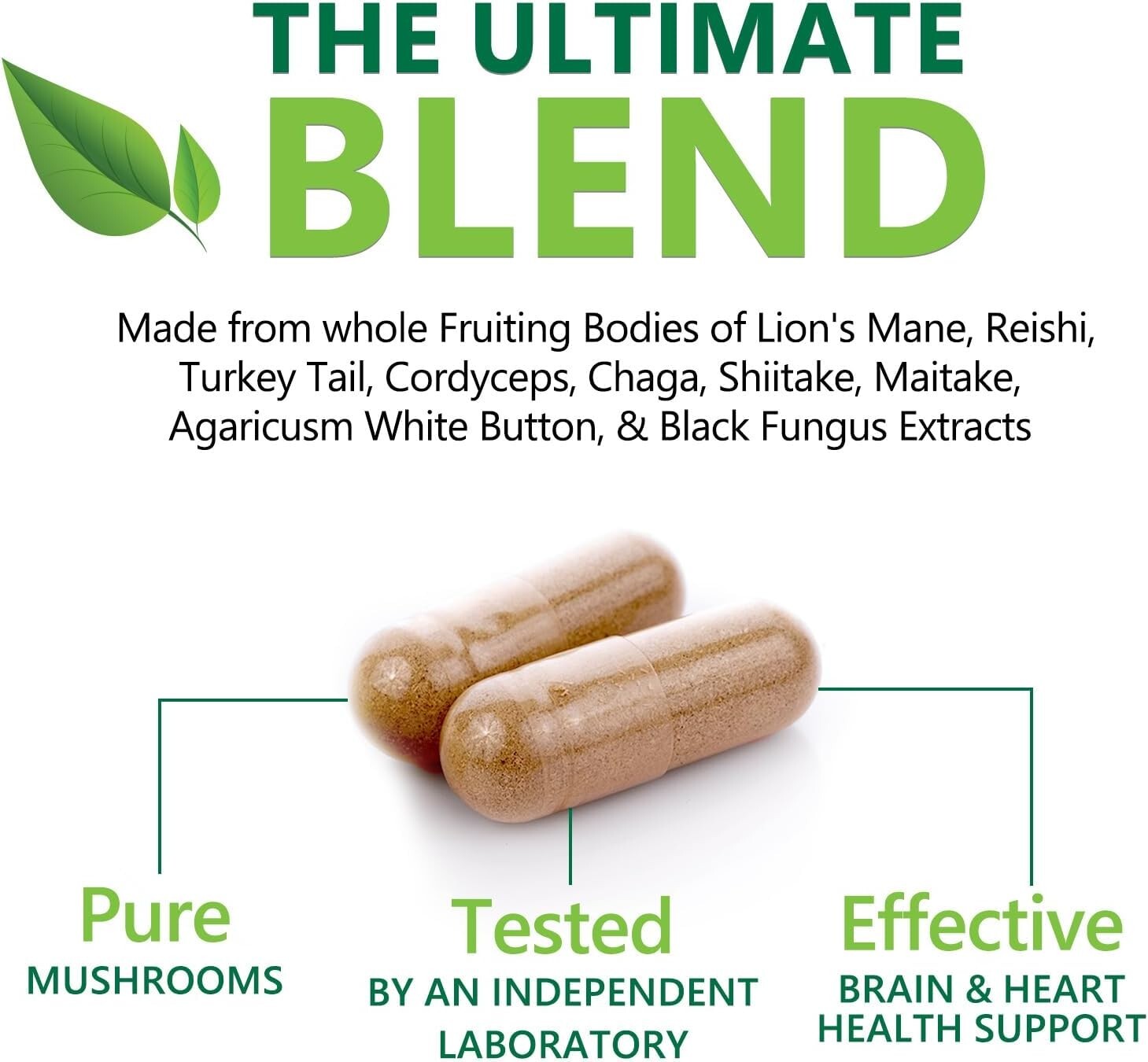 Mushroom Complex Supplement Capsules – 10 Mushrooms Lions Mane, Reishi, Chaga